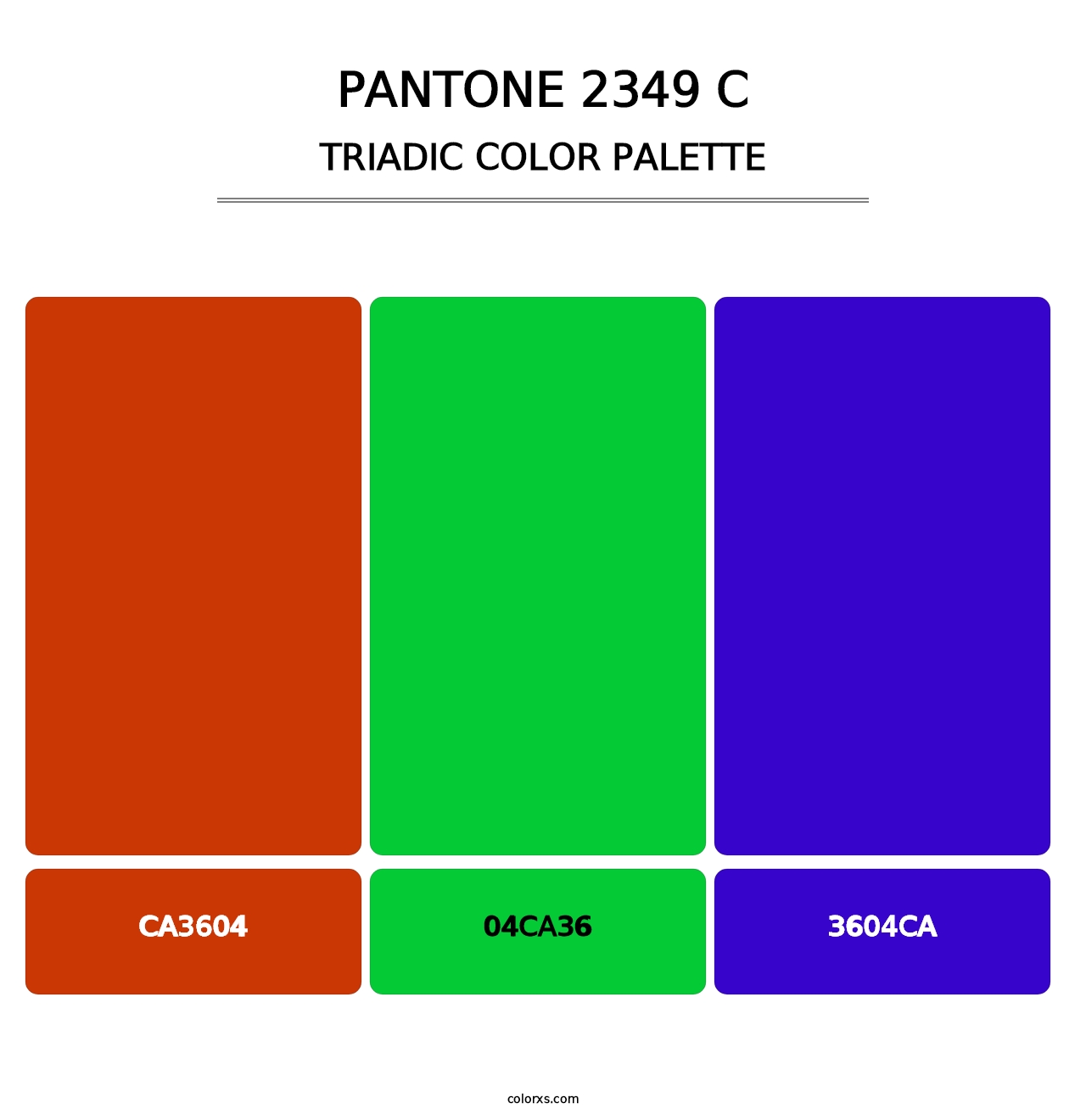 PANTONE 2349 C - Triadic Color Palette