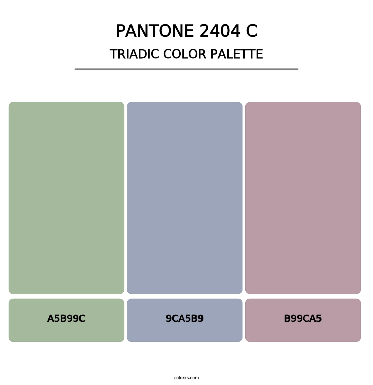 PANTONE 2404 C - Triadic Color Palette