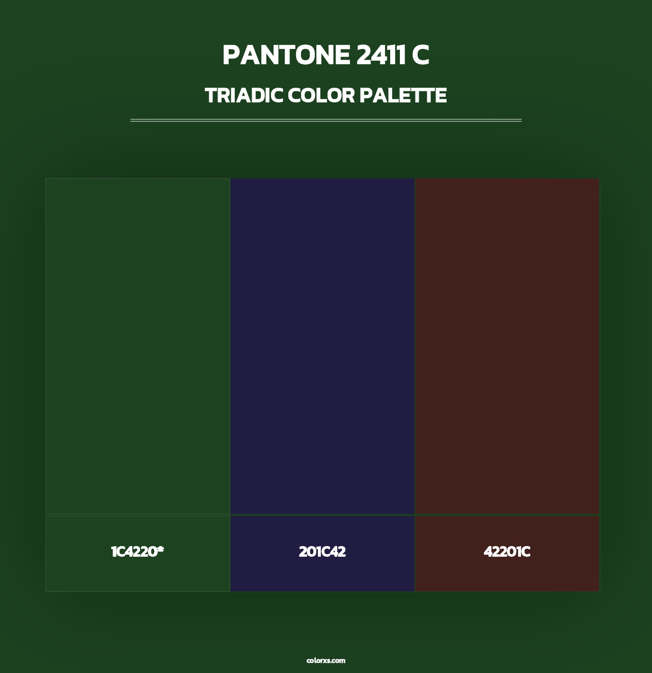 PANTONE 2411 C - Triadic Color Palette