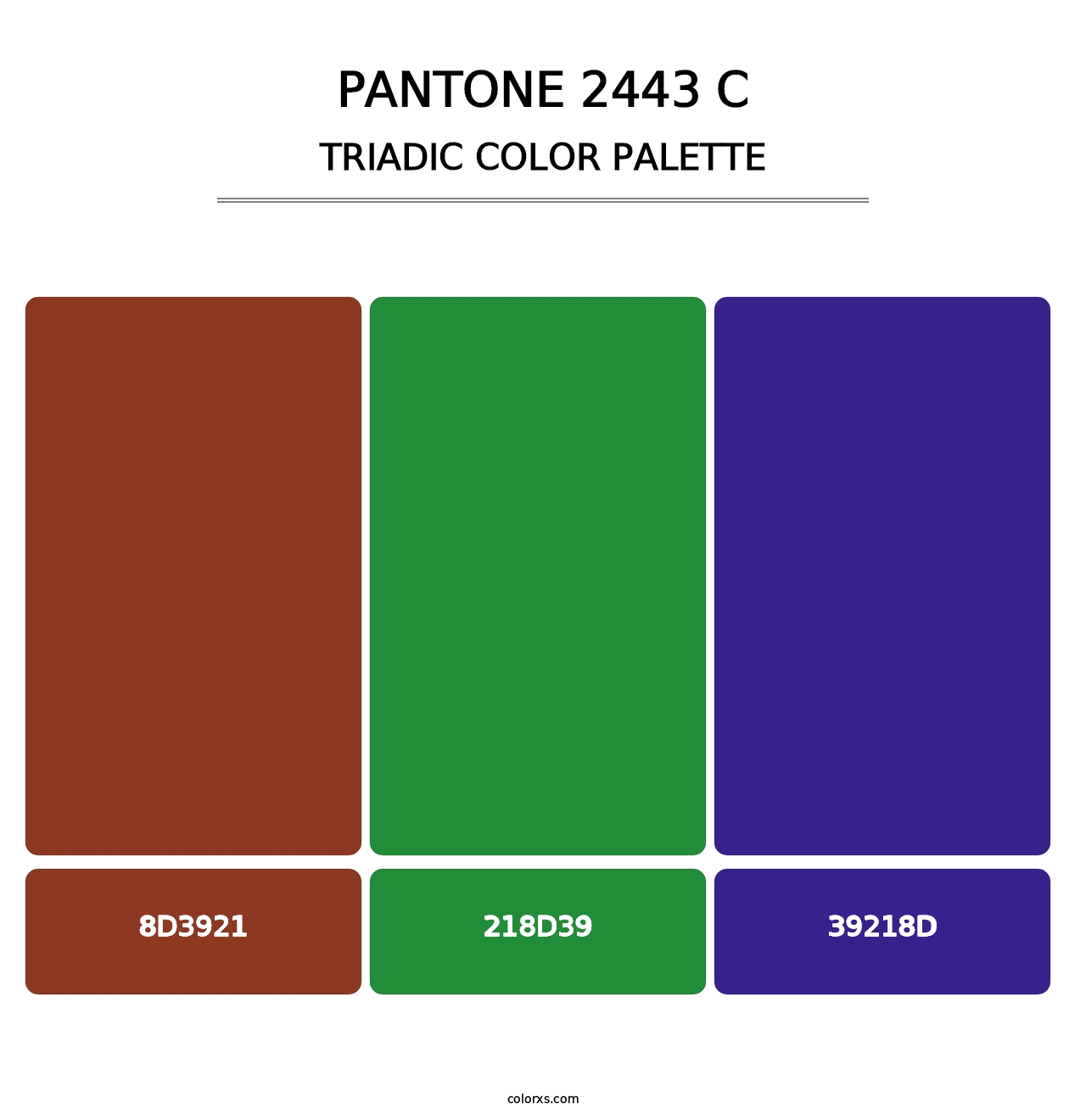 PANTONE 2443 C - Triadic Color Palette