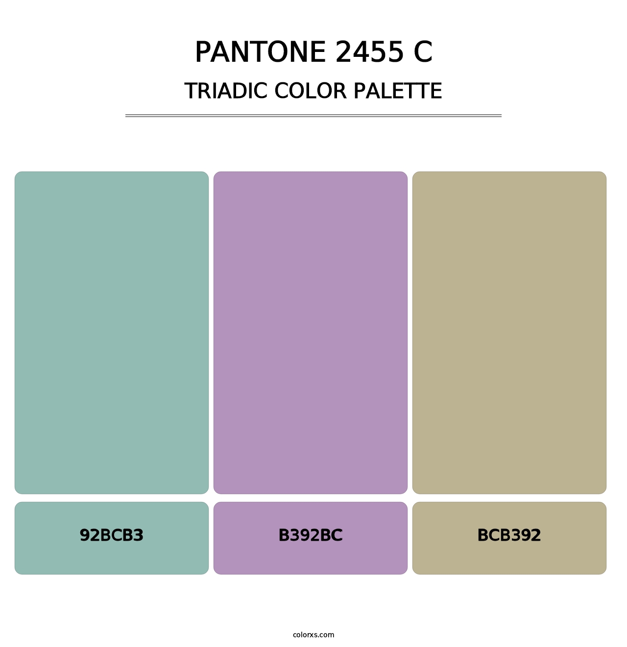 PANTONE 2455 C - Triadic Color Palette