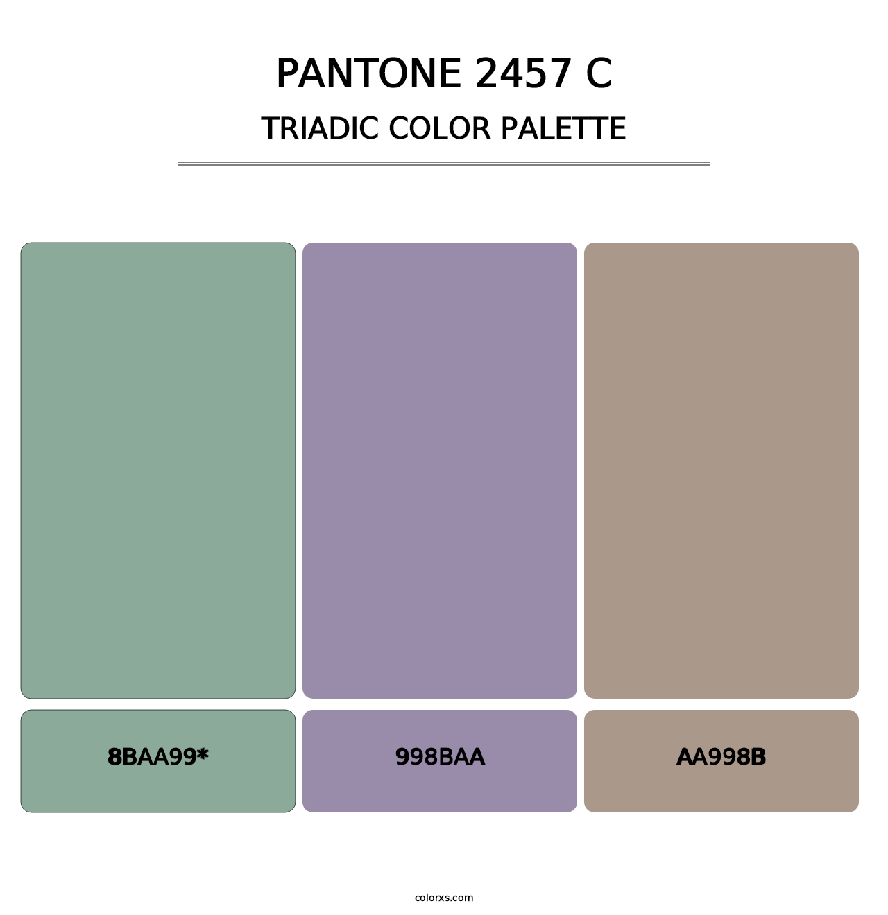 PANTONE 2457 C - Triadic Color Palette