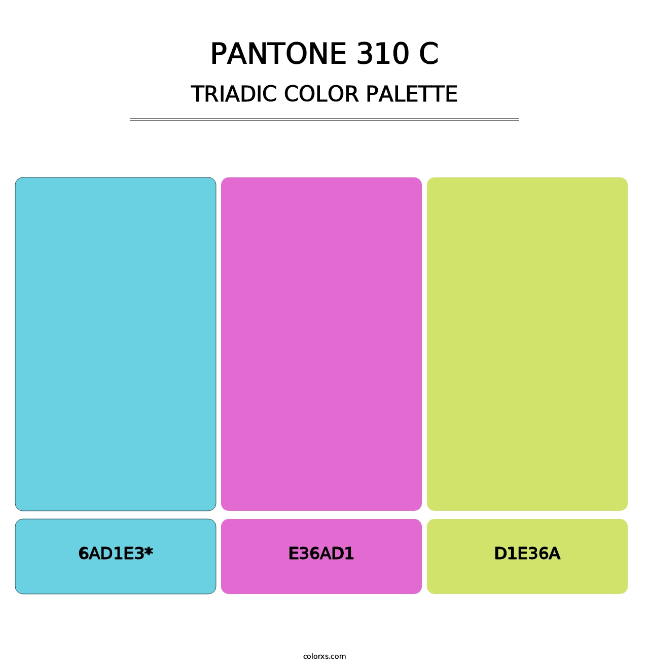 PANTONE 310 C - Triadic Color Palette