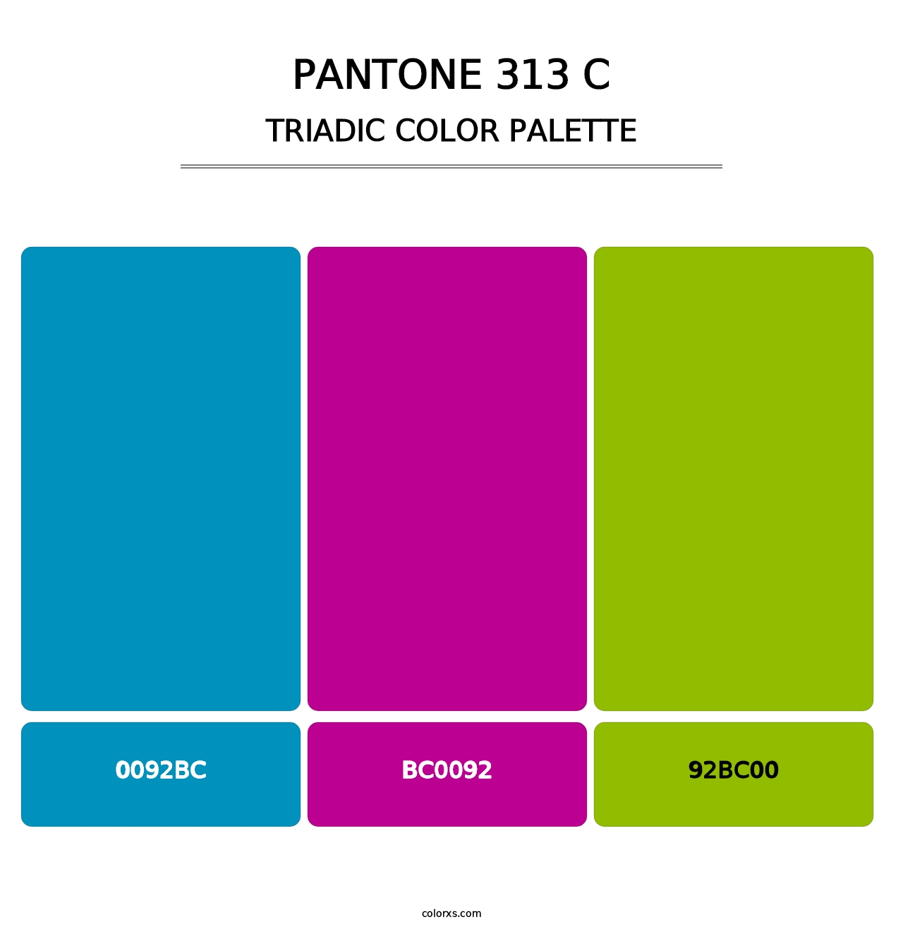 PANTONE 313 C - Triadic Color Palette