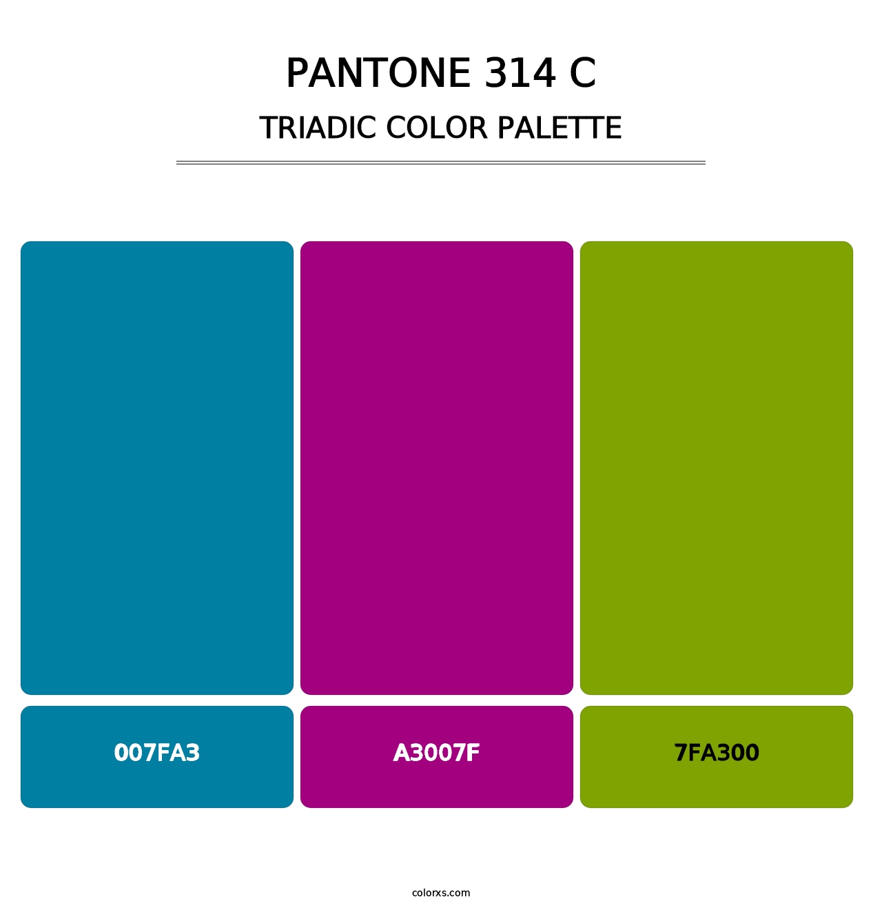 PANTONE 314 C - Triadic Color Palette