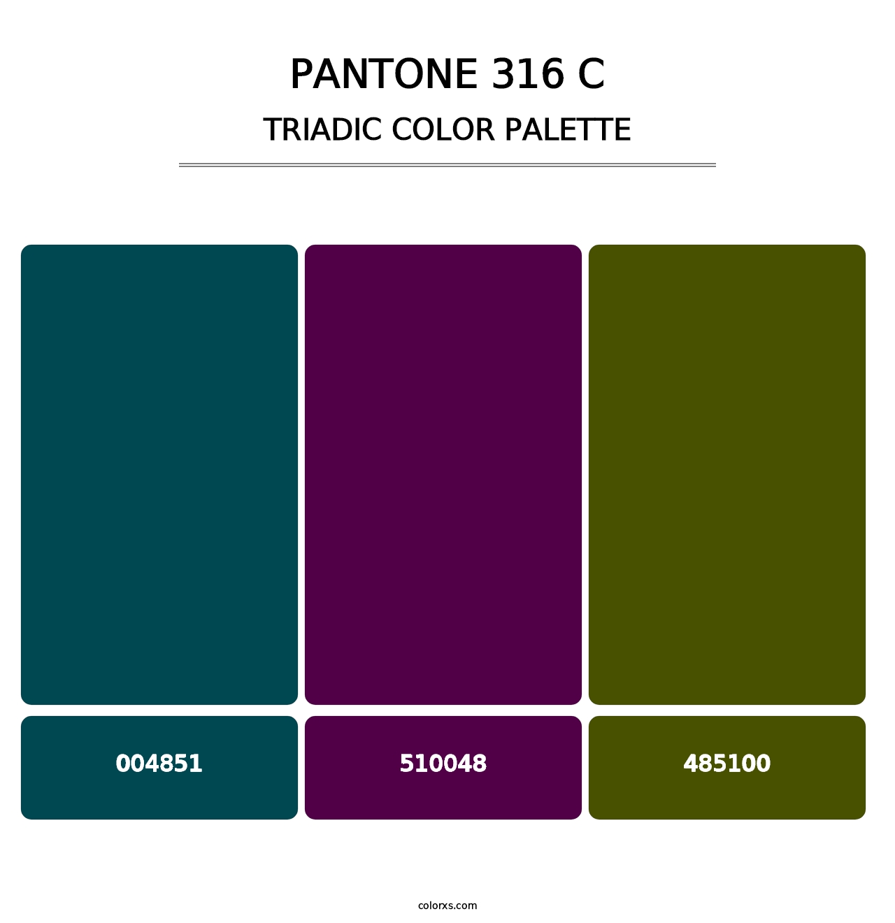 PANTONE 316 C - Triadic Color Palette