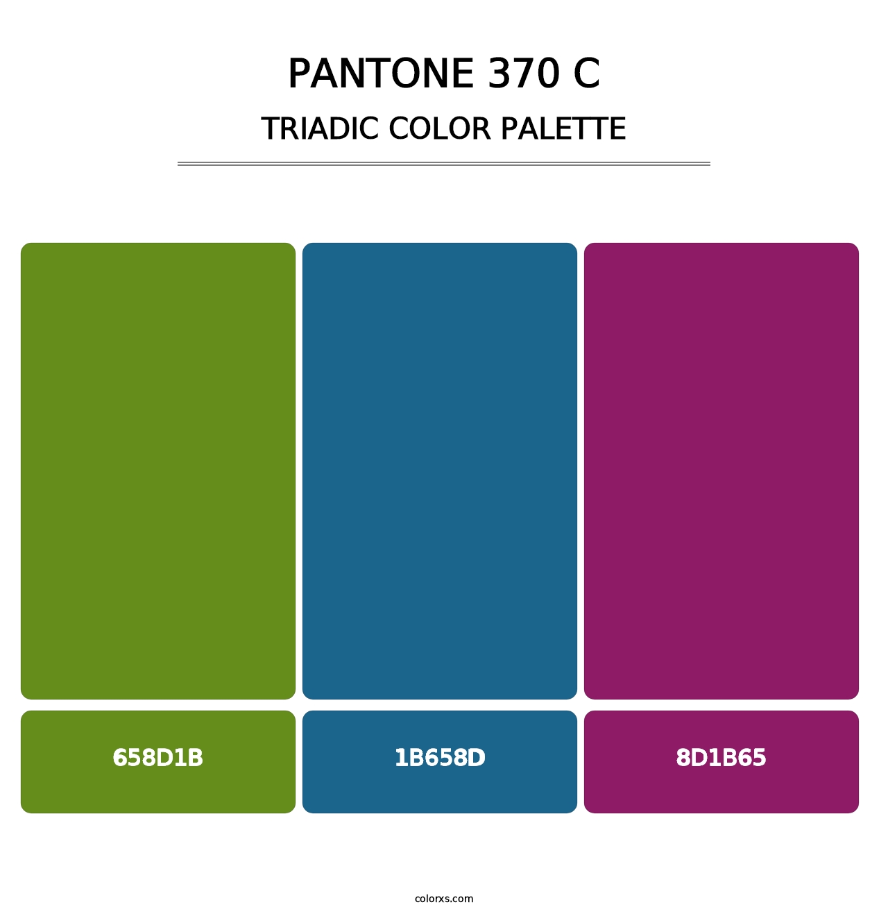 PANTONE 370 C - Triadic Color Palette