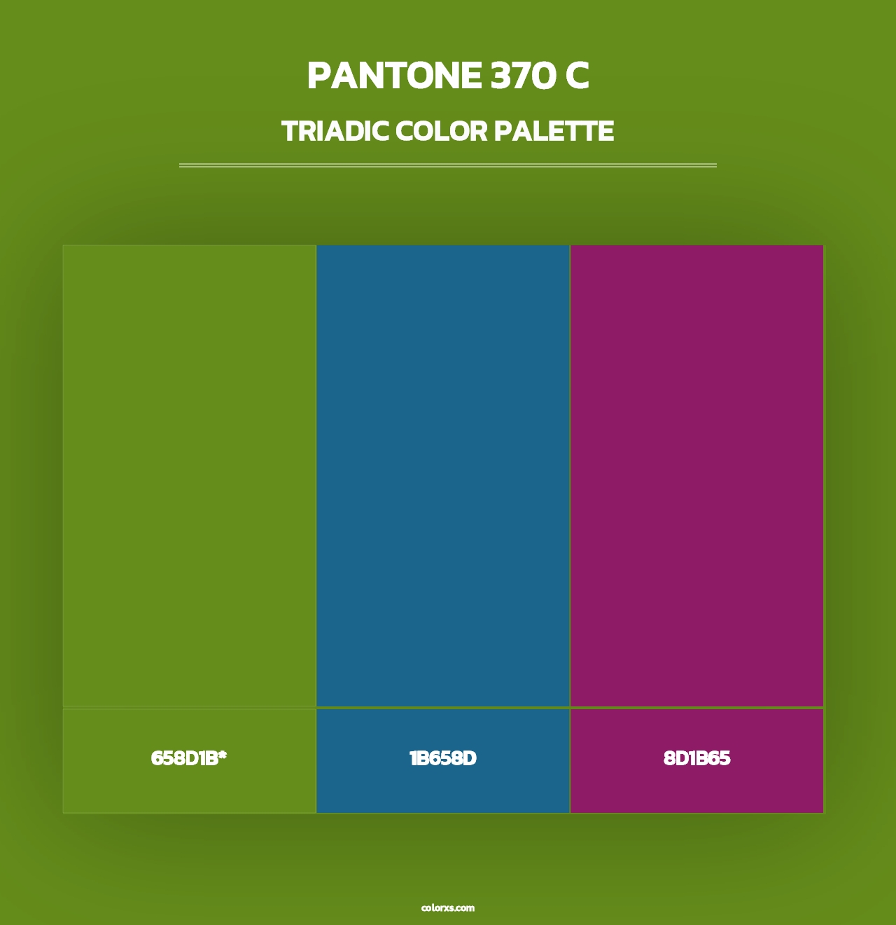 PANTONE 370 C - Triadic Color Palette