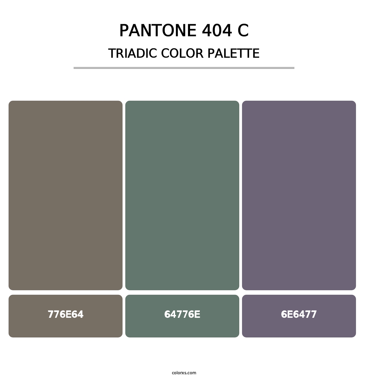 PANTONE 404 C - Triadic Color Palette
