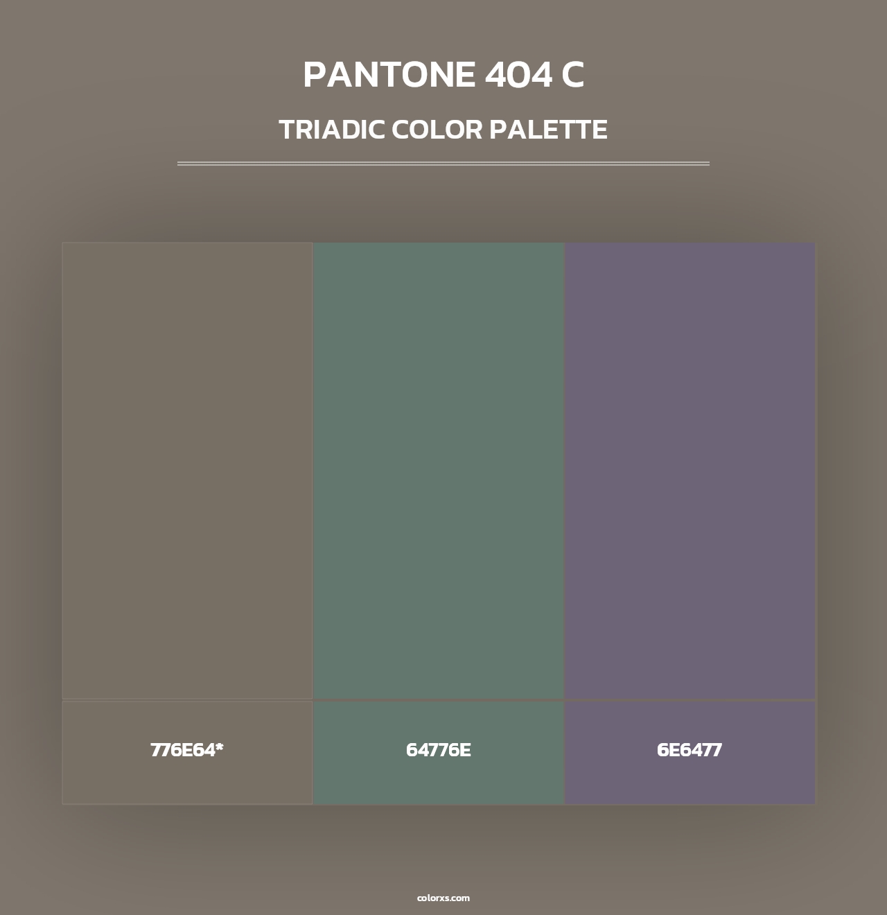 PANTONE 404 C - Triadic Color Palette