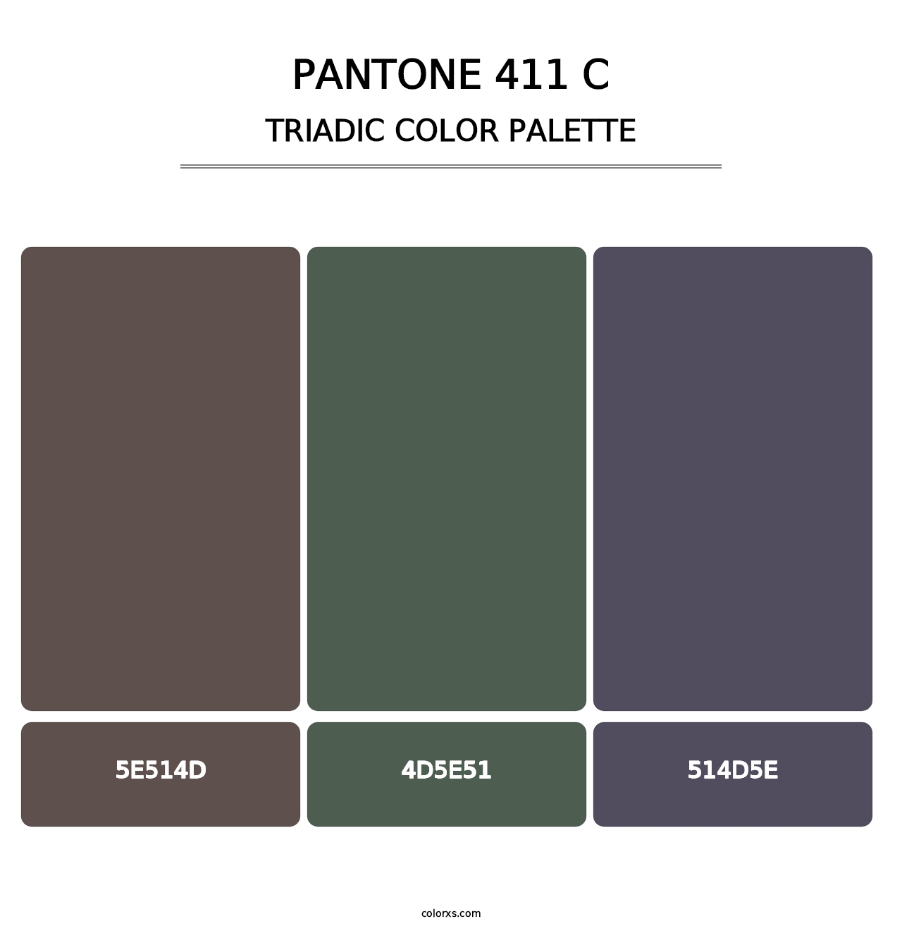 PANTONE 411 C - Triadic Color Palette