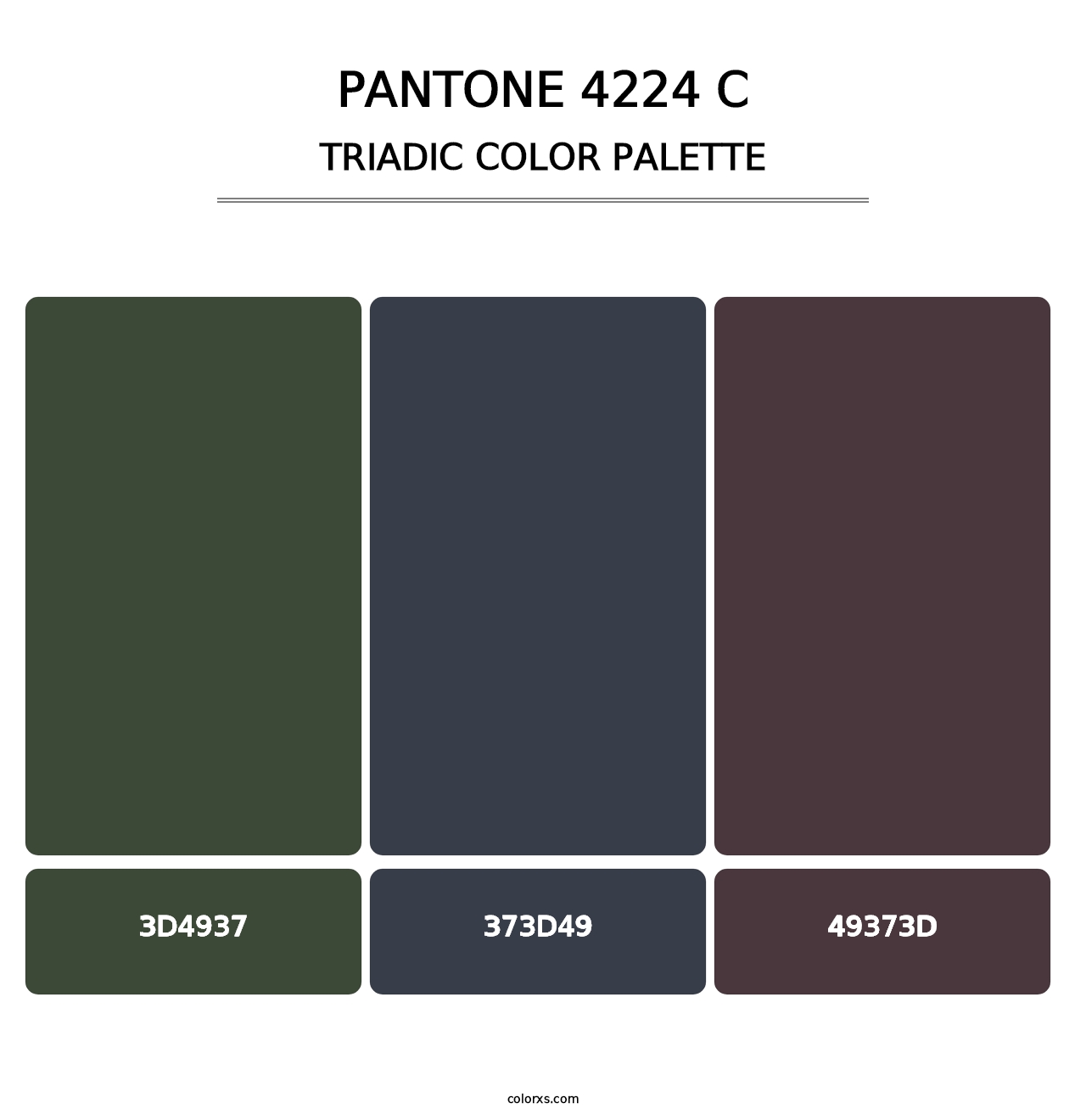 PANTONE 4224 C - Triadic Color Palette