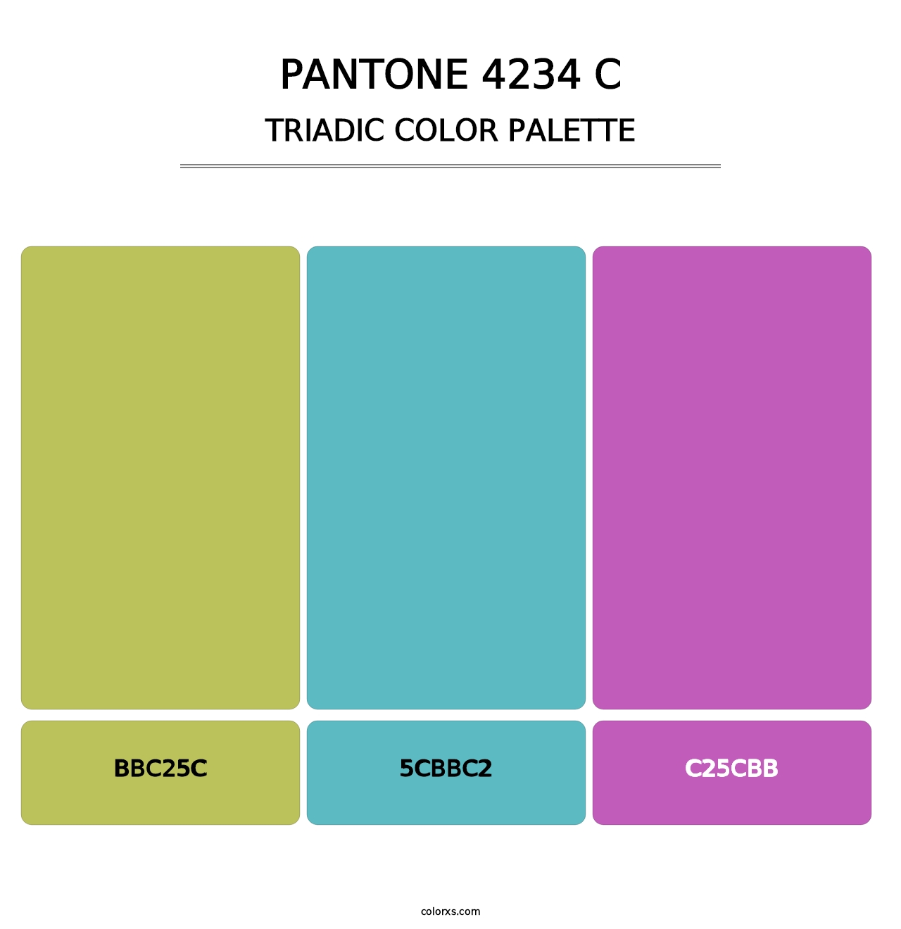 PANTONE 4234 C - Triadic Color Palette