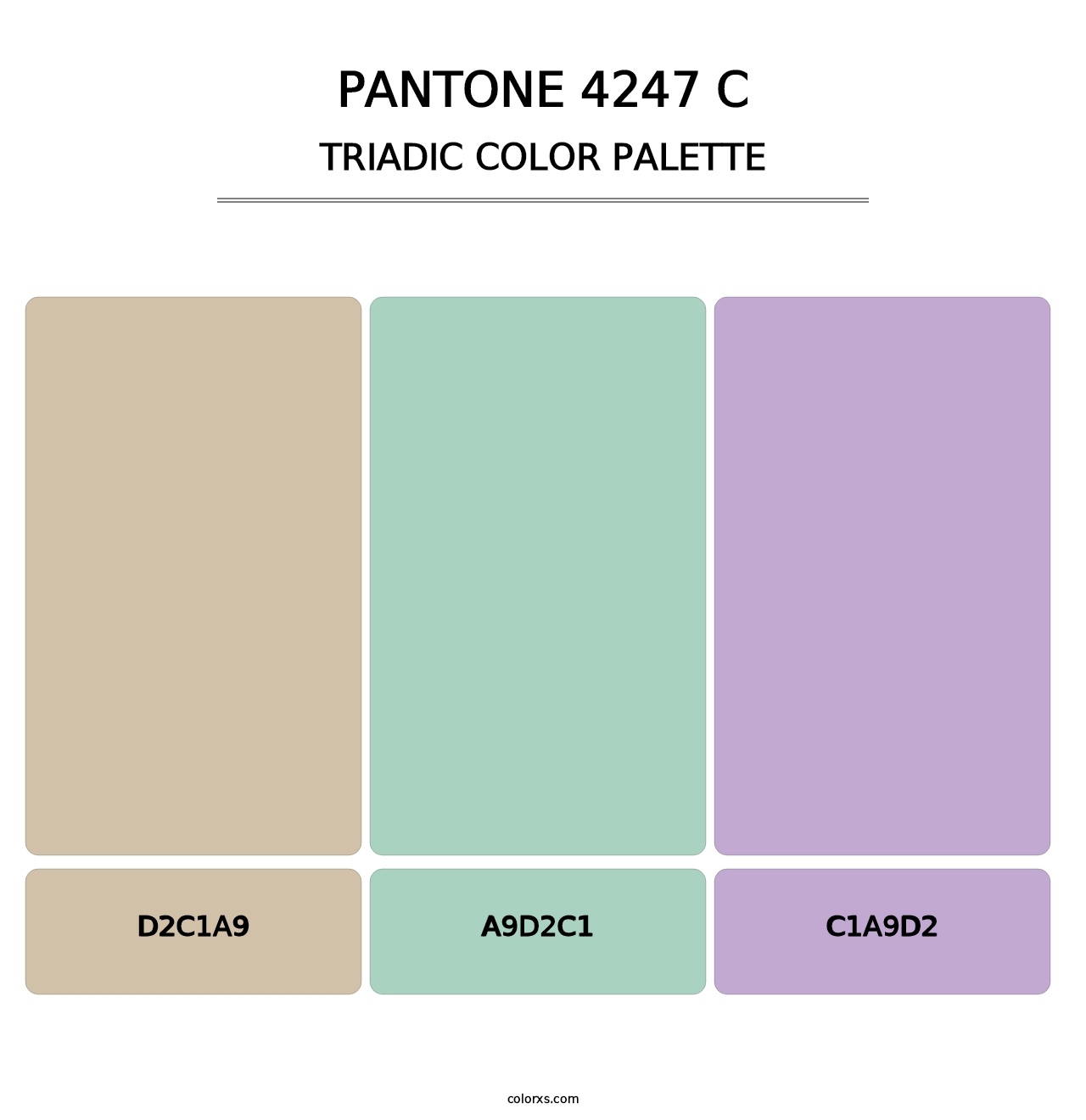 PANTONE 4247 C - Triadic Color Palette