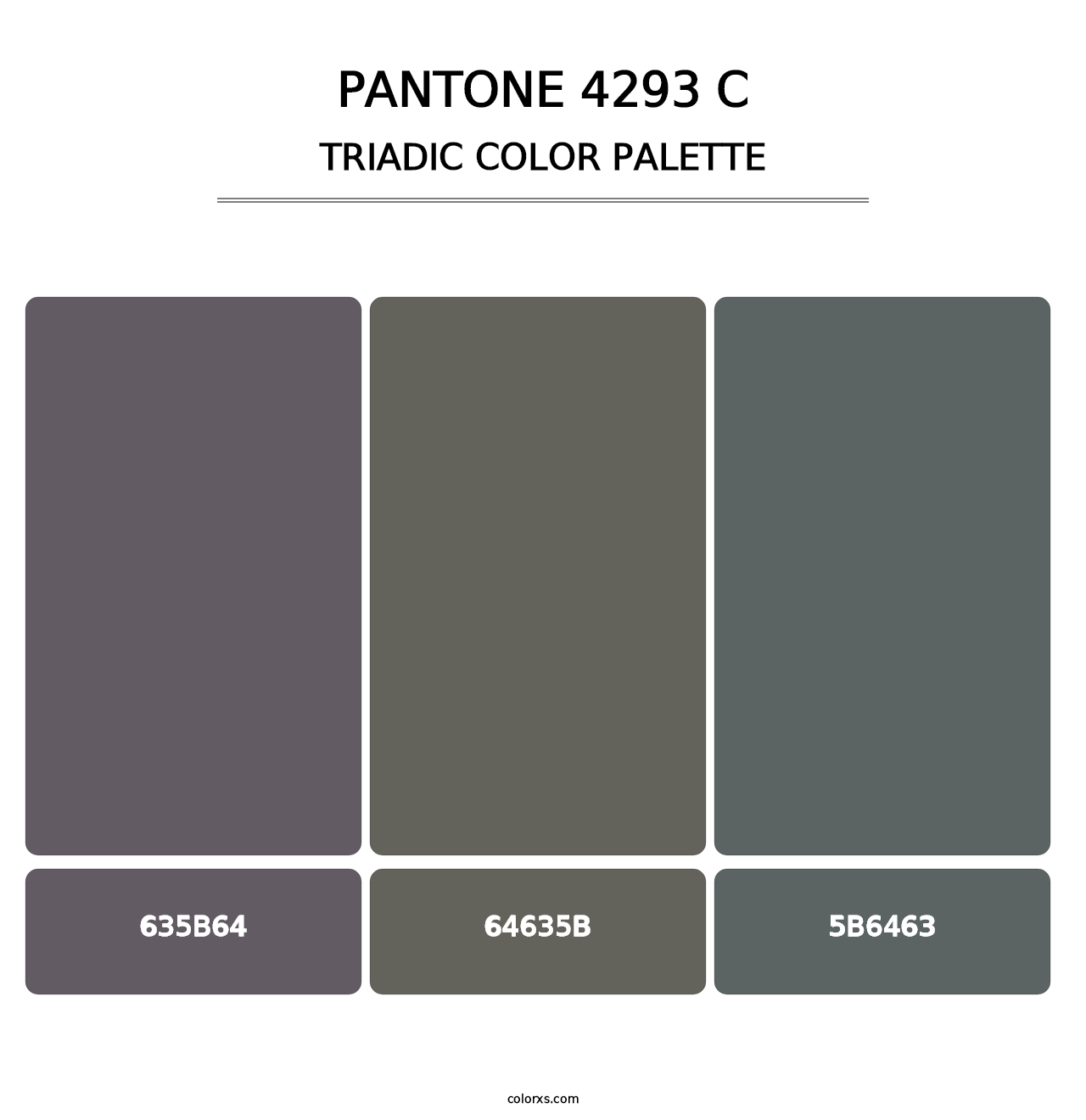 PANTONE 4293 C - Triadic Color Palette