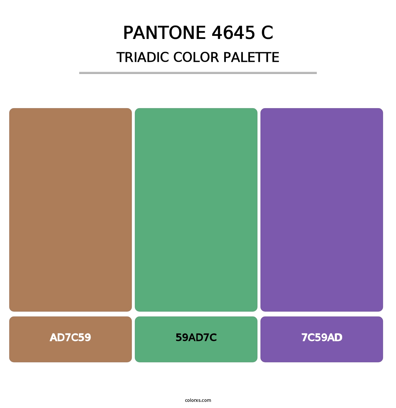 PANTONE 4645 C - Triadic Color Palette