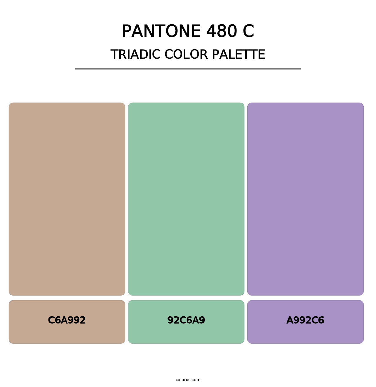 PANTONE 480 C - Triadic Color Palette