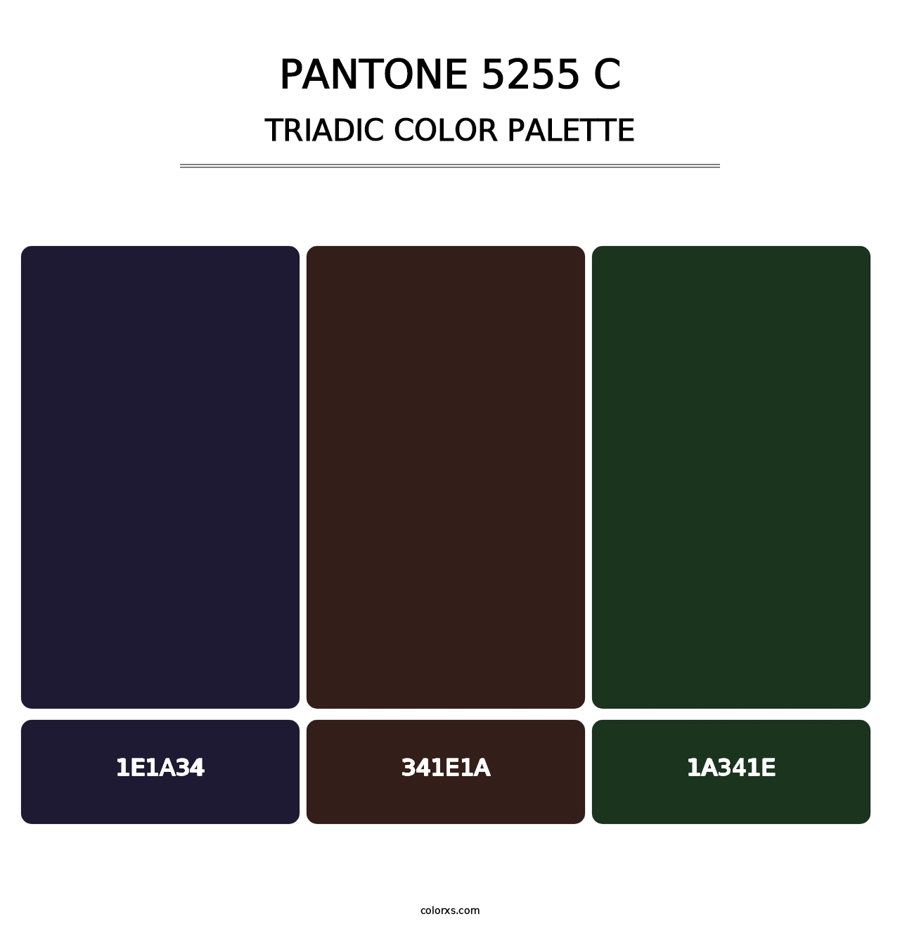 PANTONE 5255 C - Triadic Color Palette