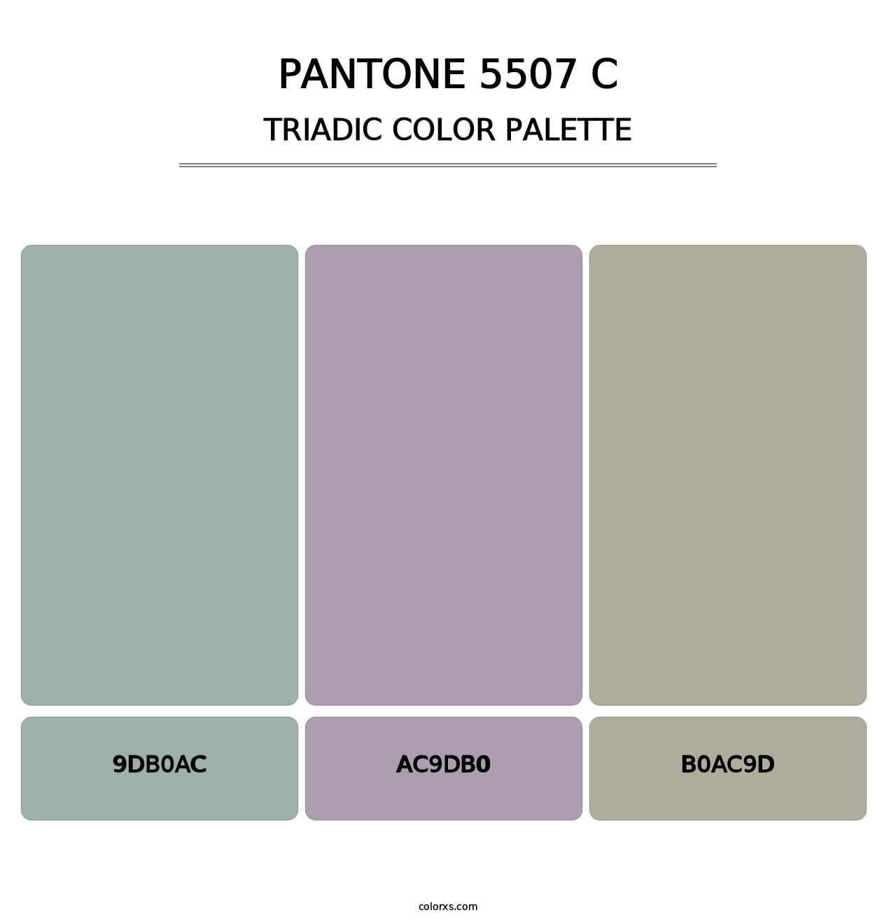 PANTONE 5507 C - Triadic Color Palette