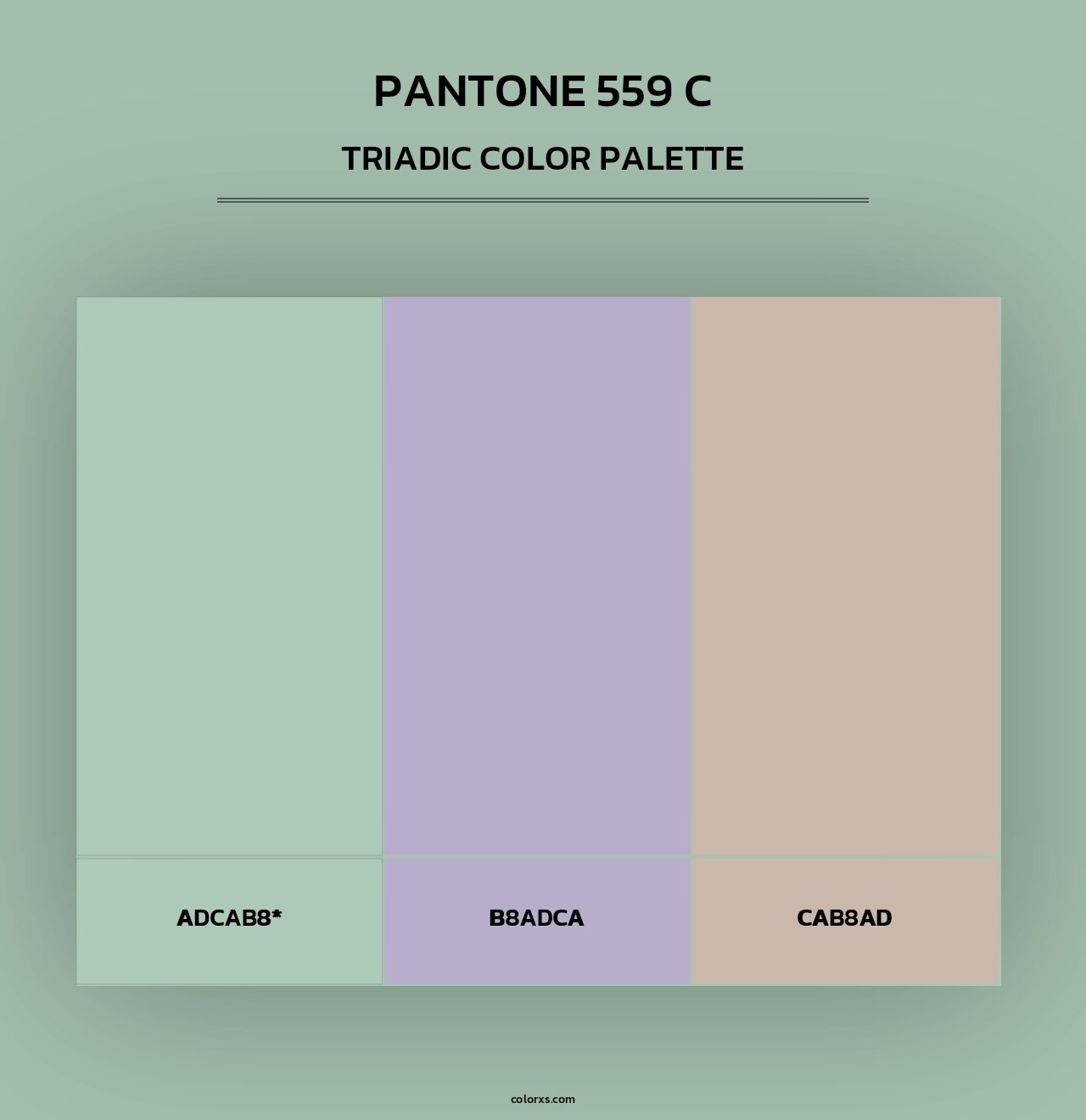 PANTONE 559 C - Triadic Color Palette