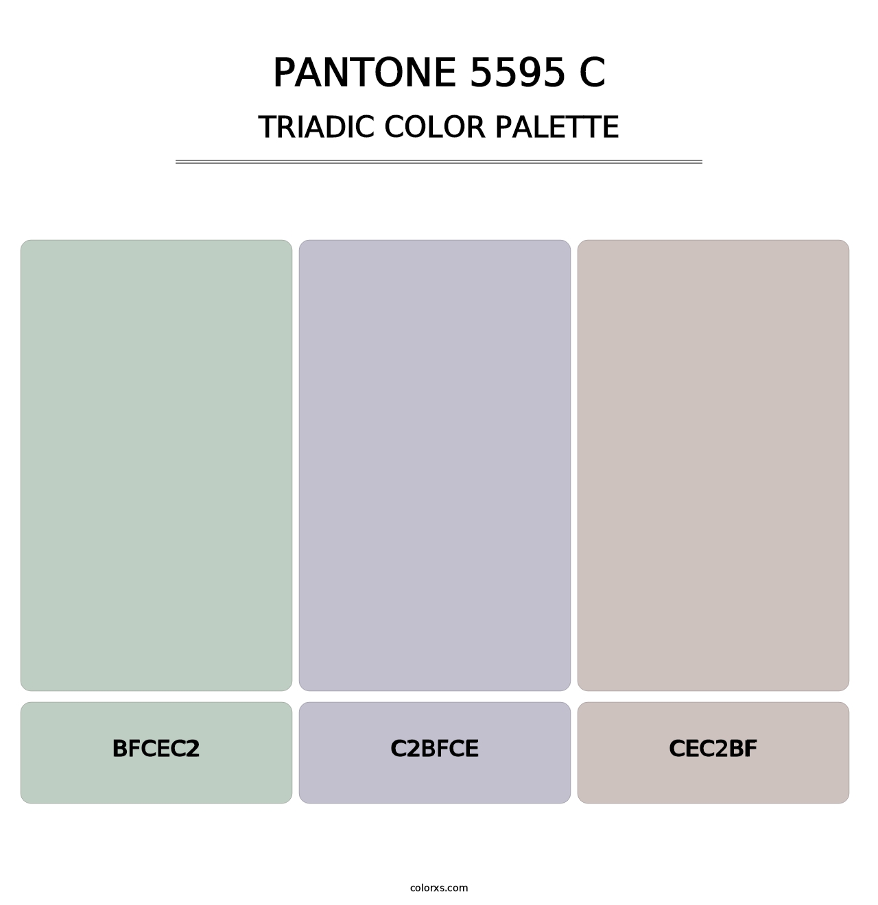 PANTONE 5595 C - Triadic Color Palette