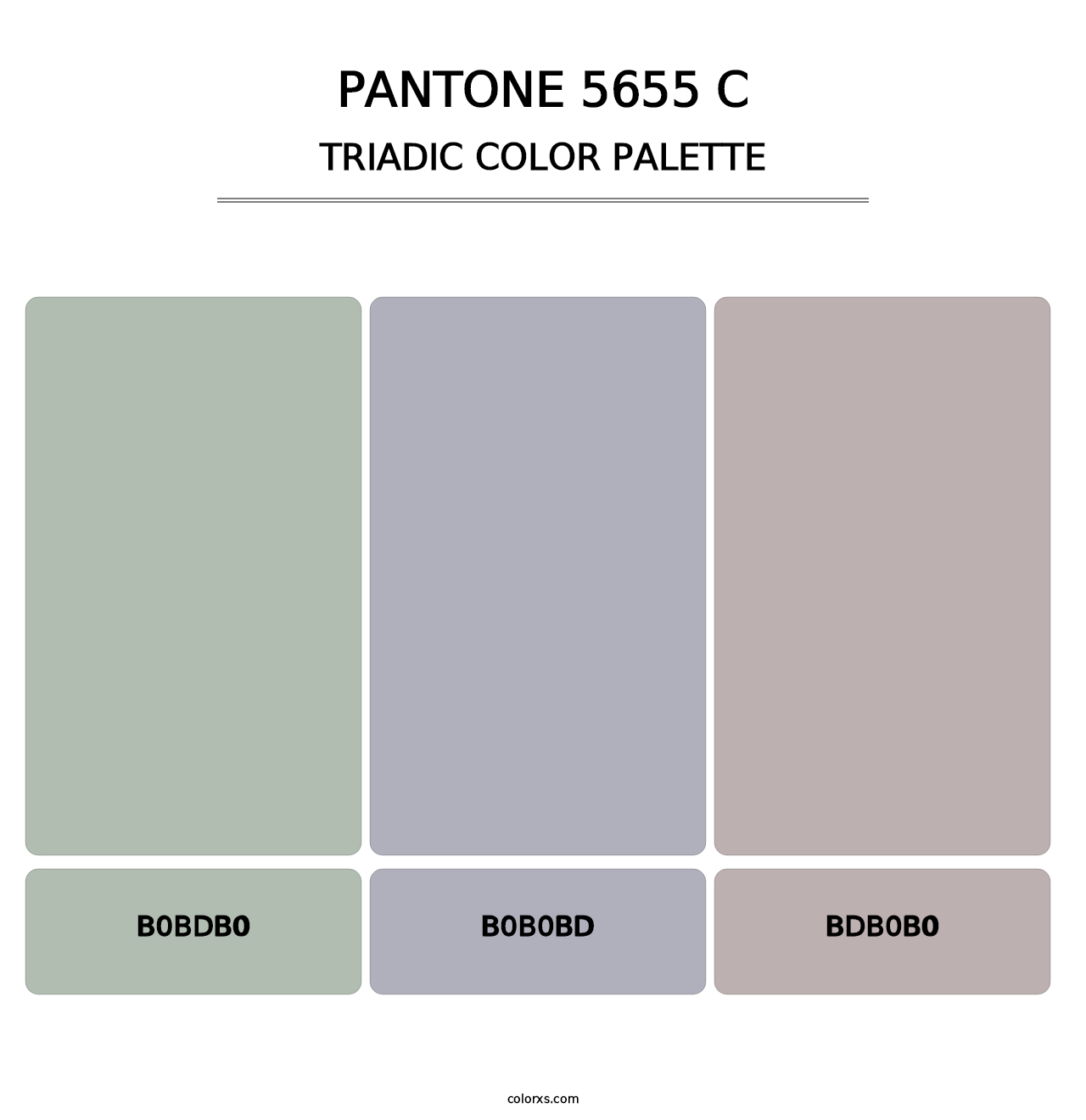 PANTONE 5655 C - Triadic Color Palette