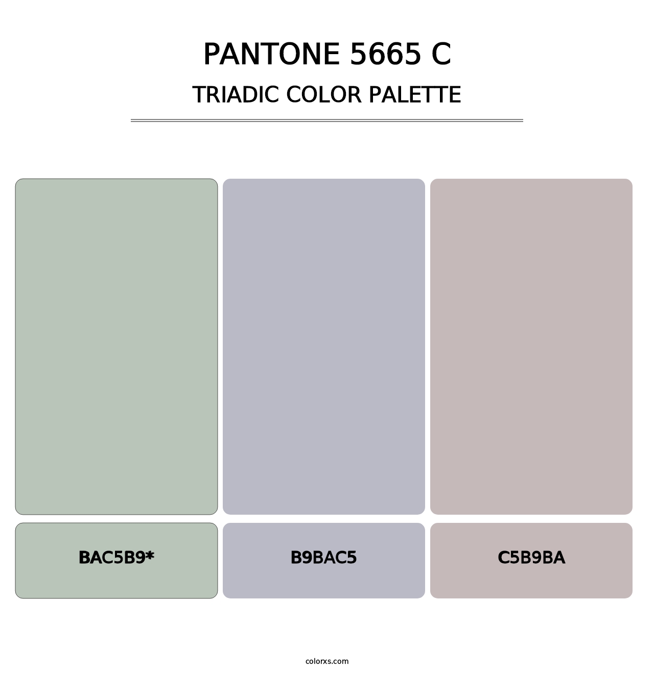 PANTONE 5665 C - Triadic Color Palette