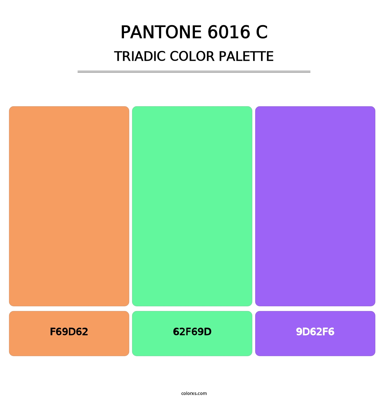 PANTONE 6016 C - Triadic Color Palette