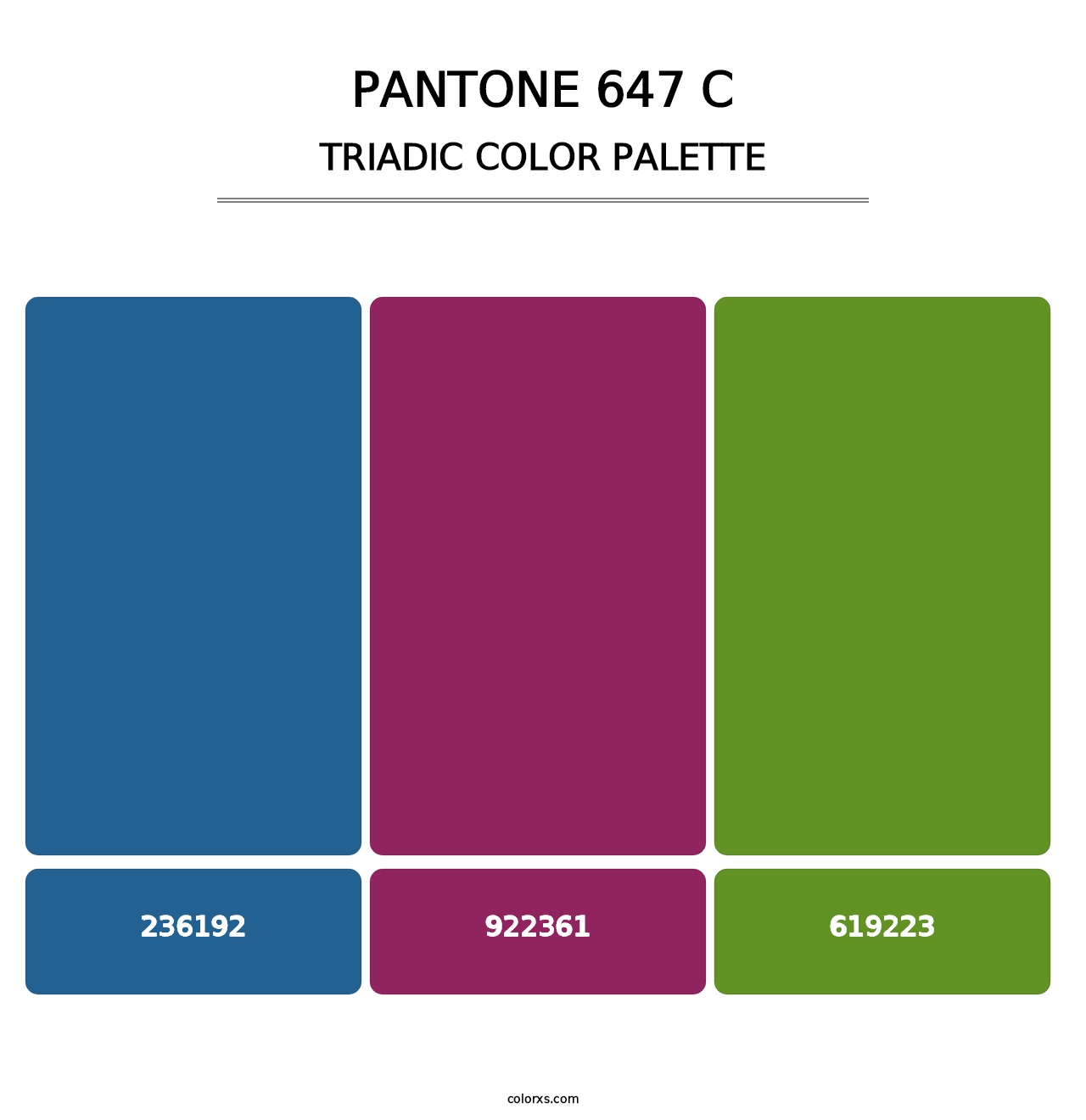 PANTONE 647 C - Triadic Color Palette