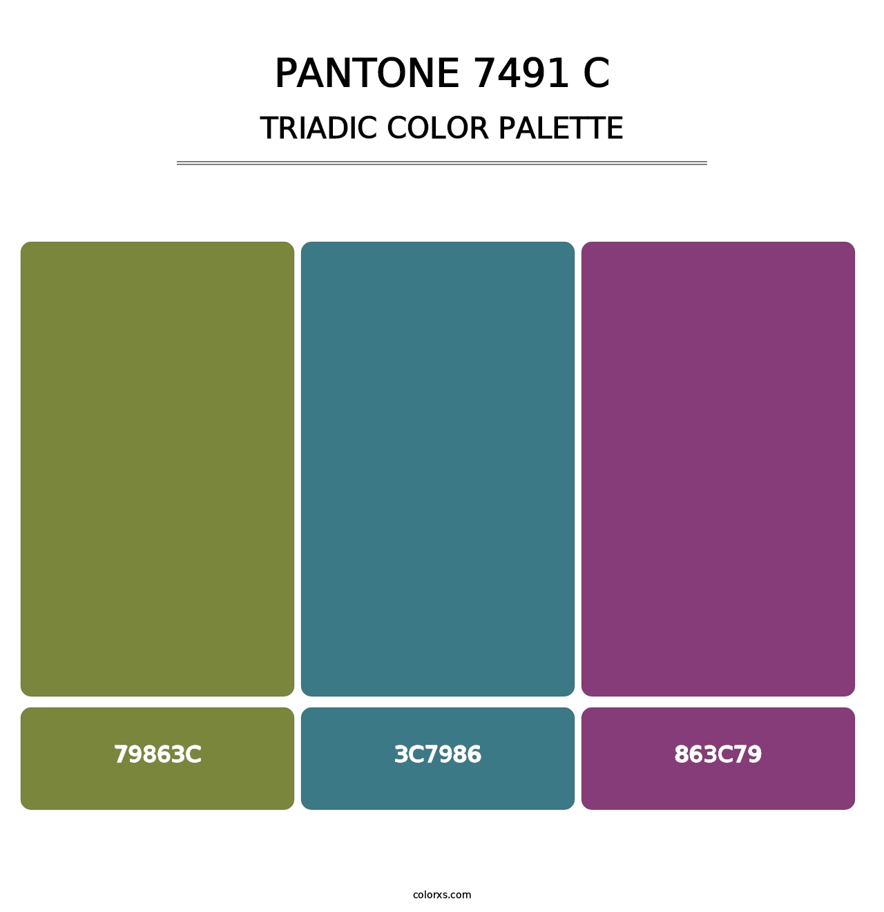 PANTONE 7491 C - Triadic Color Palette