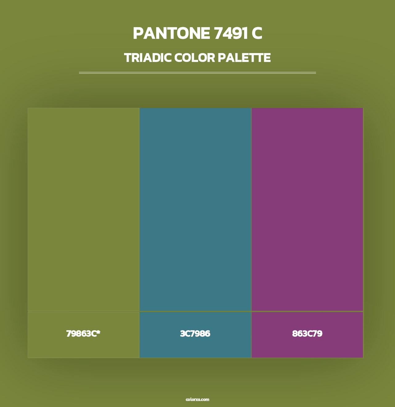 PANTONE 7491 C - Triadic Color Palette