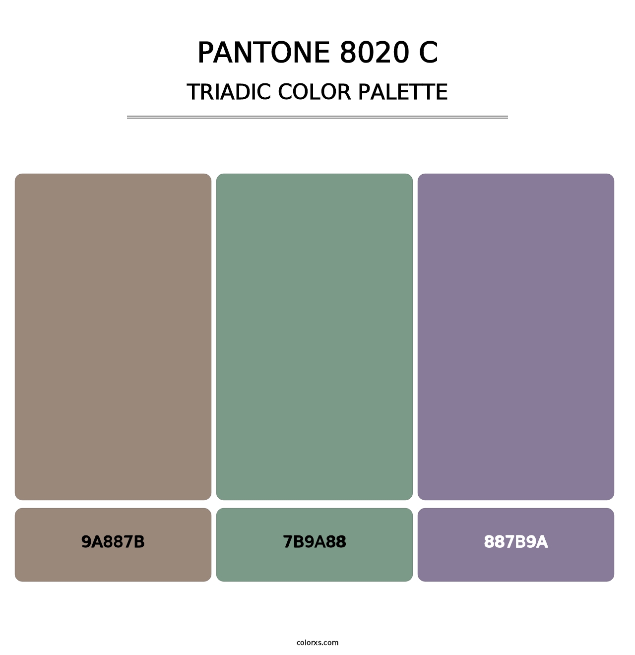 PANTONE 8020 C - Triadic Color Palette