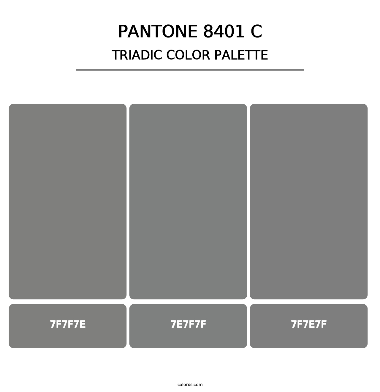 PANTONE 8401 C - Triadic Color Palette