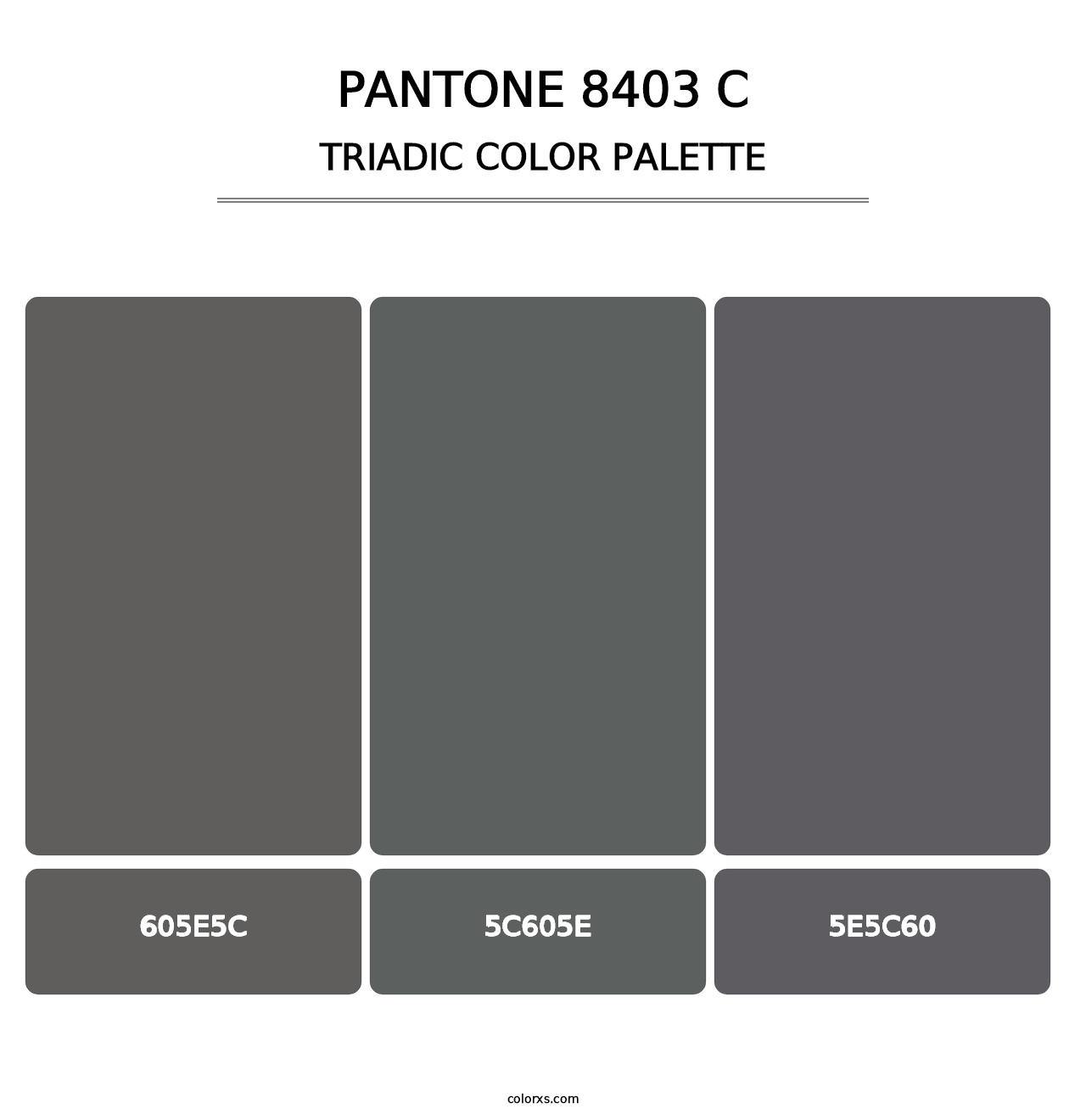 PANTONE 8403 C - Triadic Color Palette