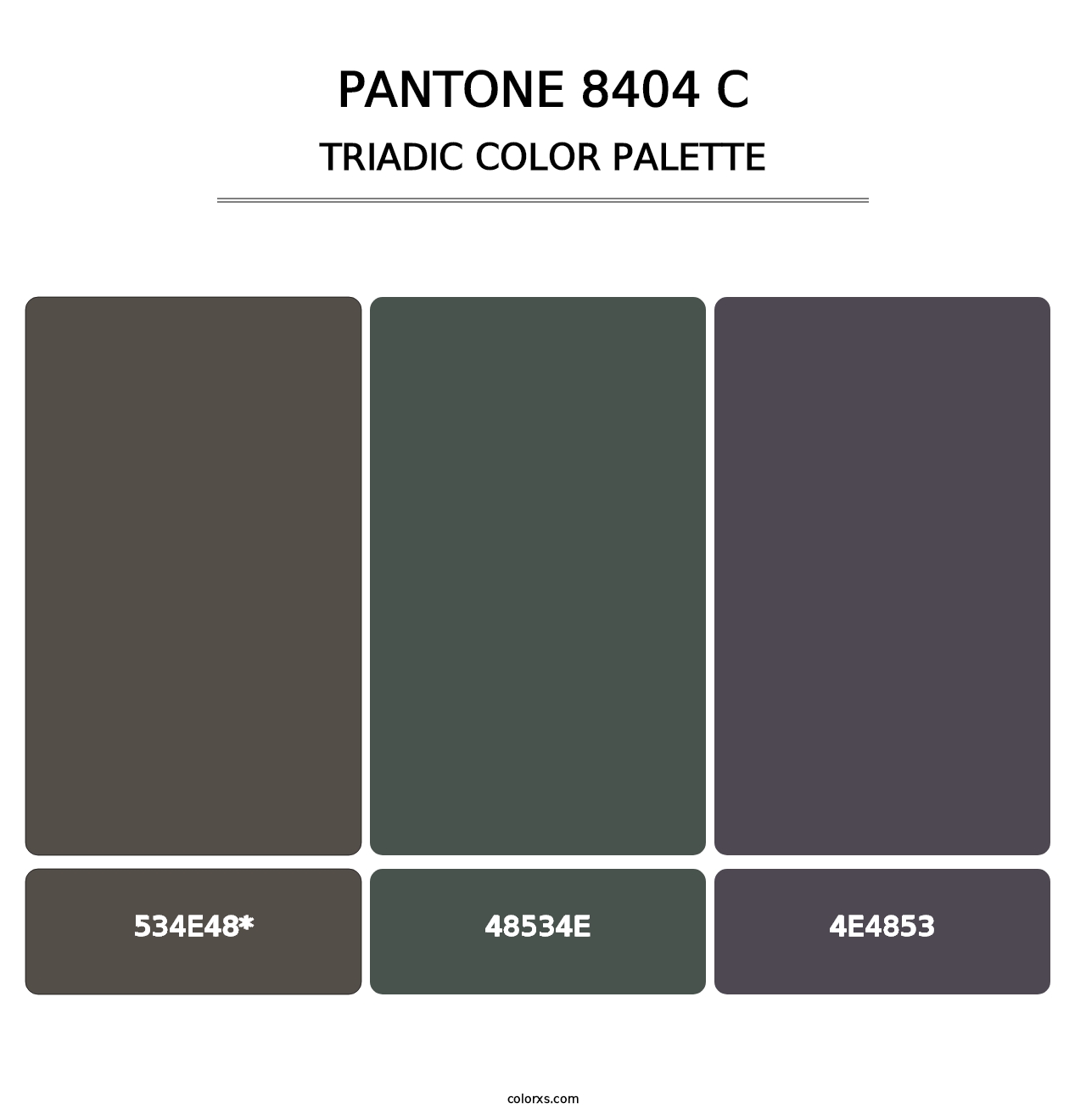 PANTONE 8404 C - Triadic Color Palette