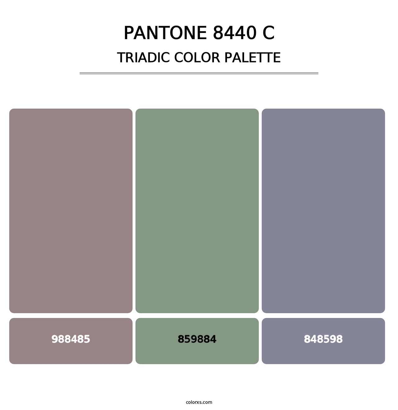 PANTONE 8440 C - Triadic Color Palette
