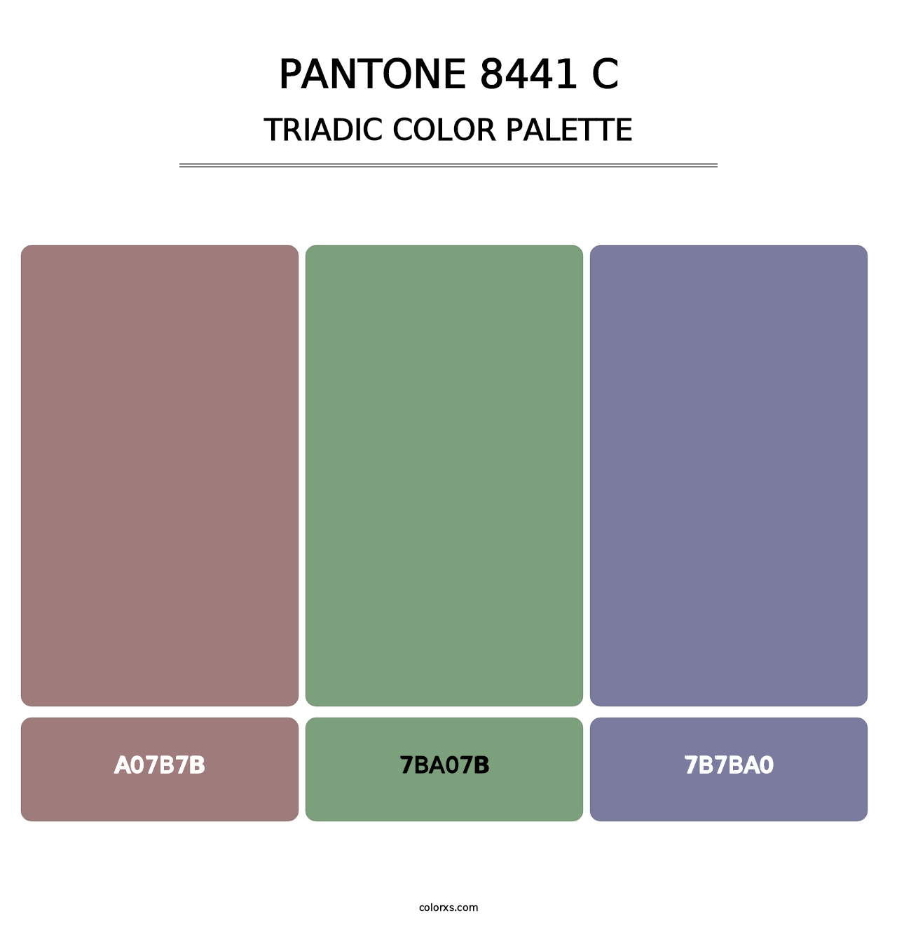 PANTONE 8441 C - Triadic Color Palette