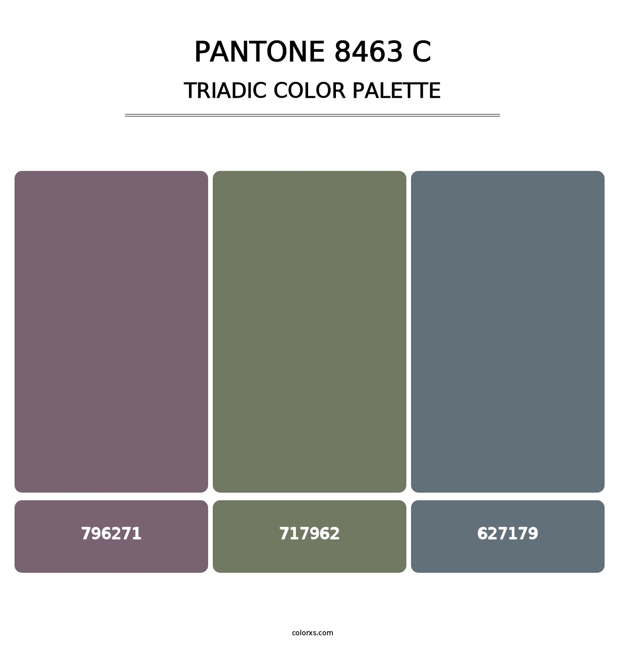 PANTONE 8463 C - Triadic Color Palette