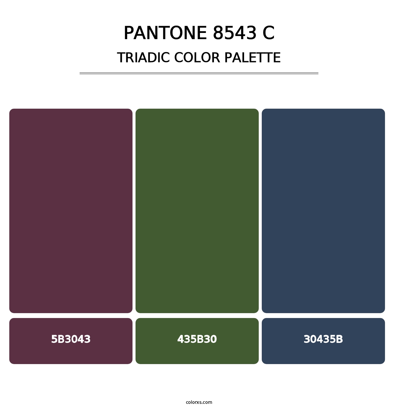 PANTONE 8543 C - Triadic Color Palette