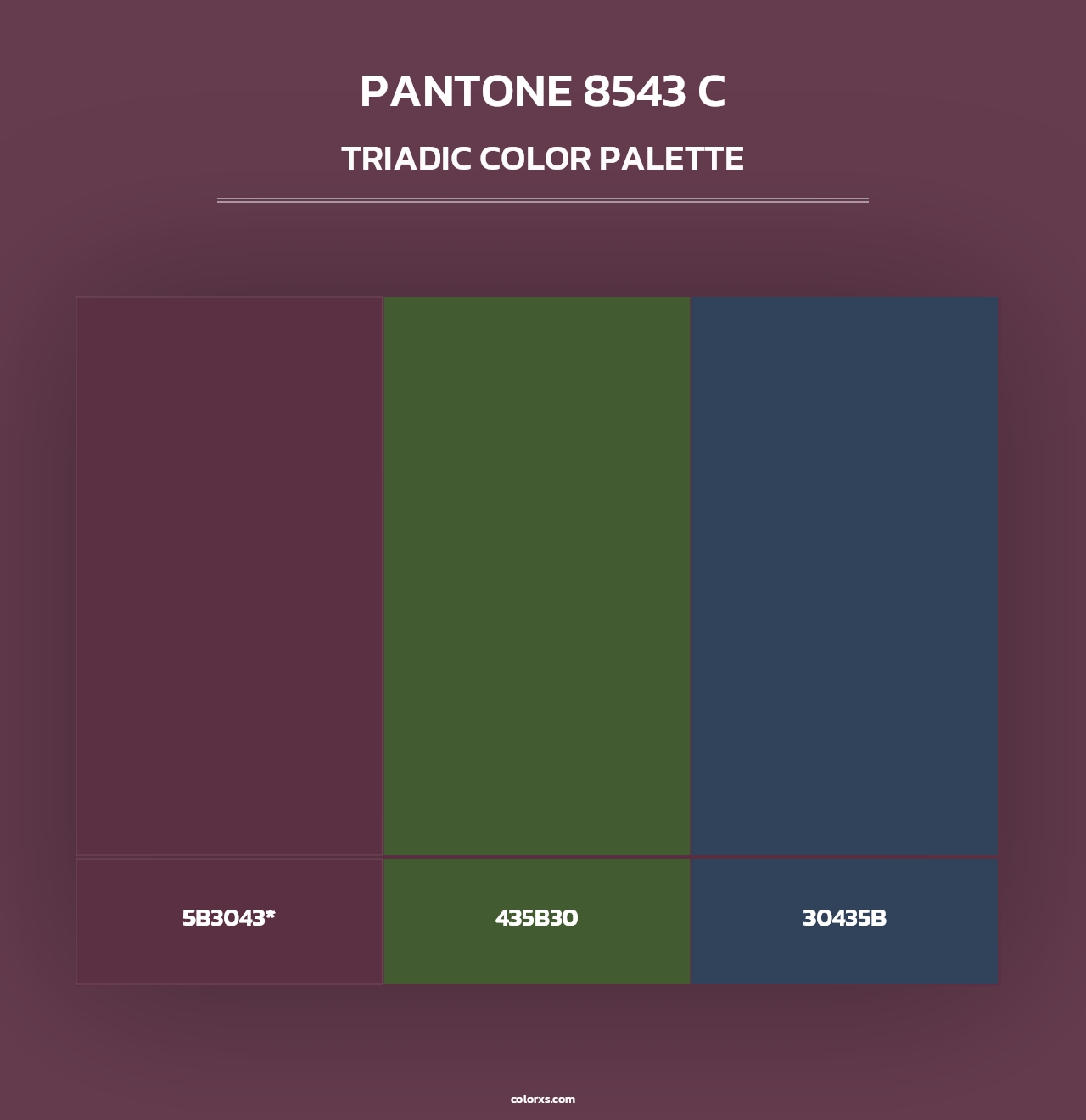 PANTONE 8543 C - Triadic Color Palette