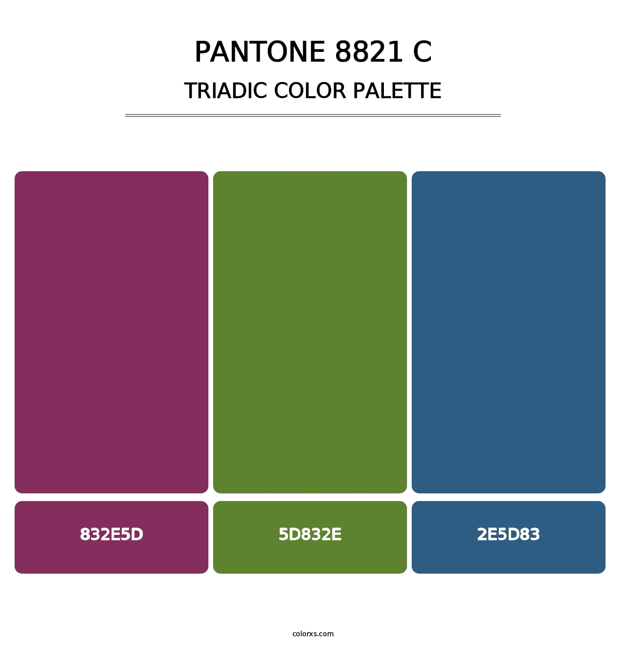 PANTONE 8821 C - Triadic Color Palette
