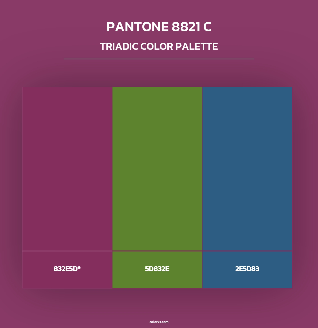 PANTONE 8821 C - Triadic Color Palette
