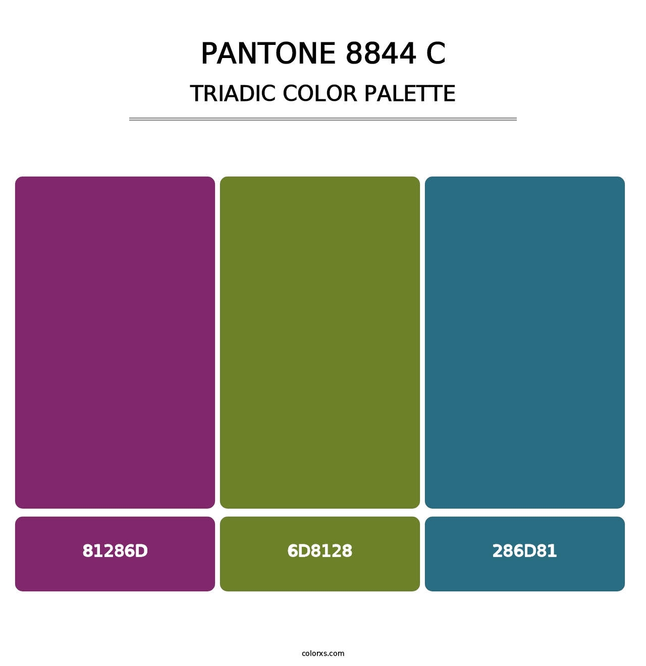 PANTONE 8844 C - Triadic Color Palette