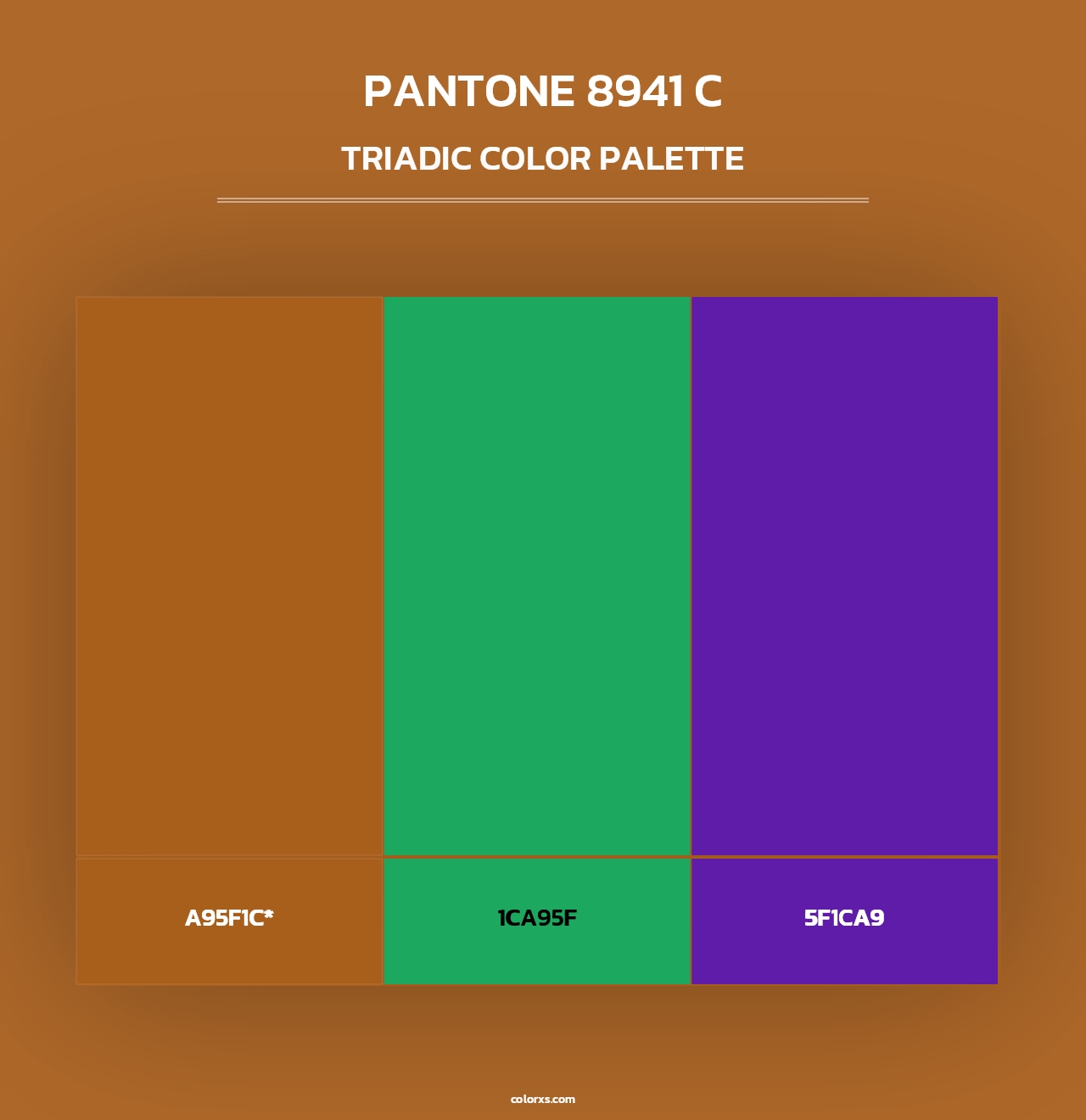 PANTONE 8941 C - Triadic Color Palette