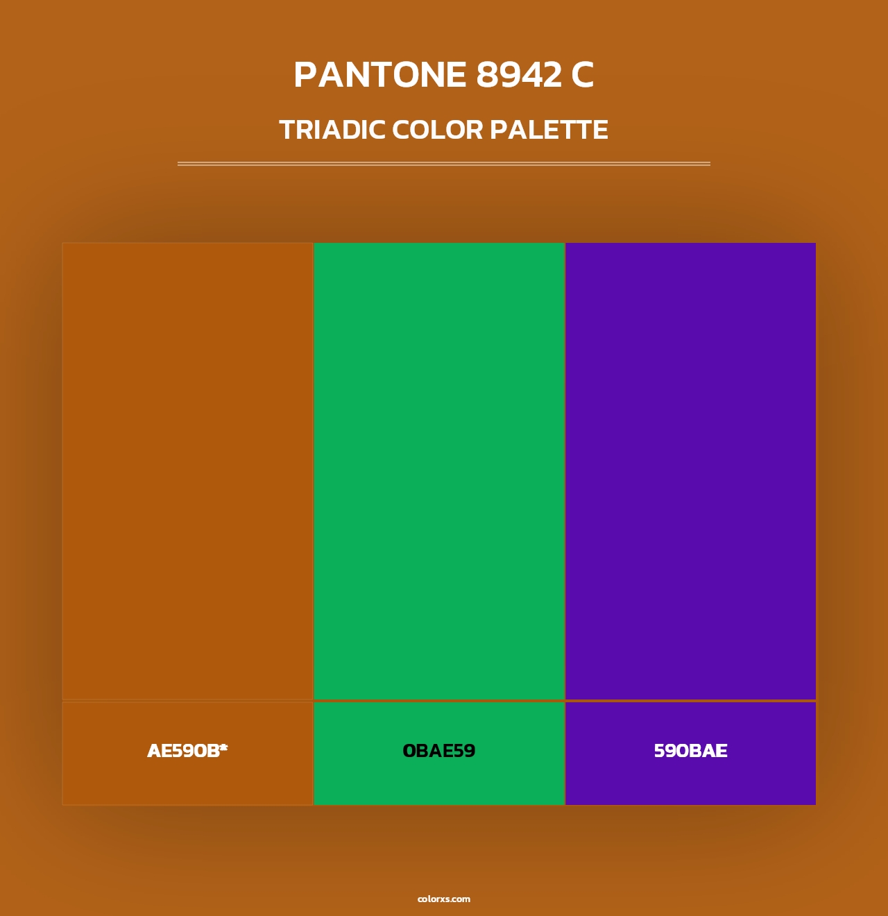 PANTONE 8942 C - Triadic Color Palette