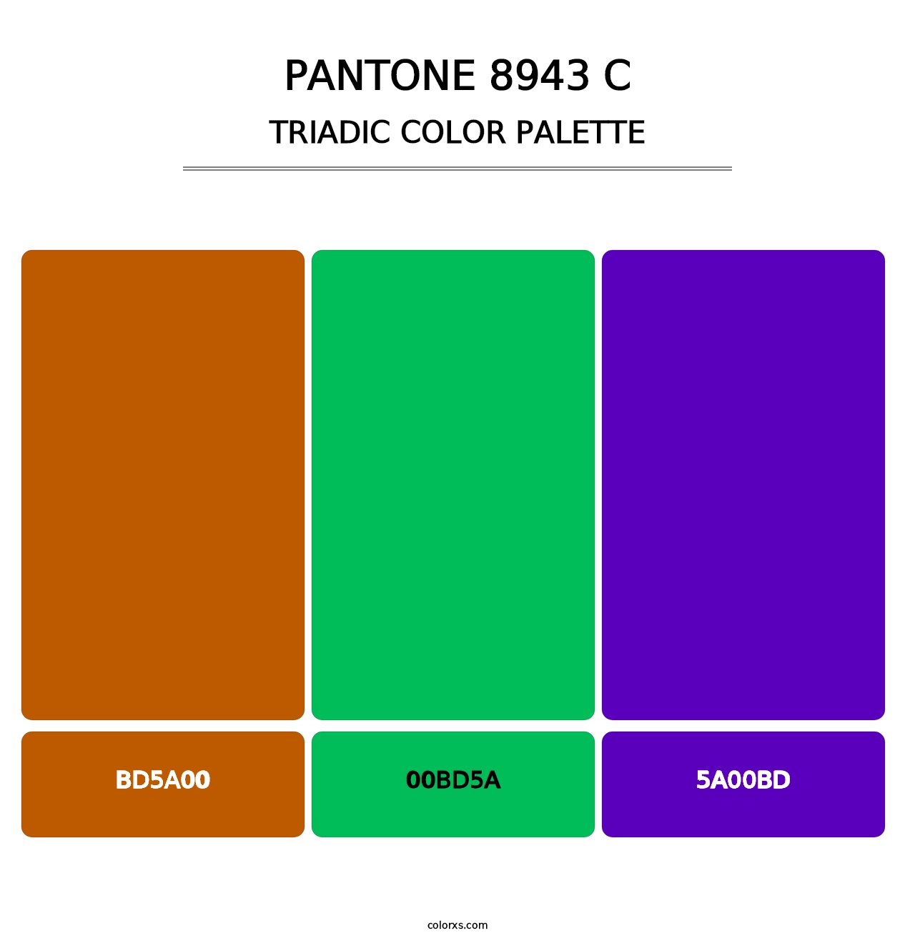 PANTONE 8943 C - Triadic Color Palette