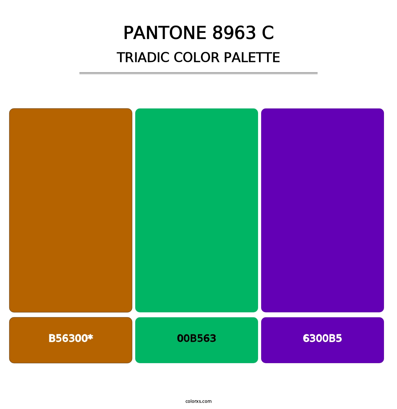 PANTONE 8963 C - Triadic Color Palette
