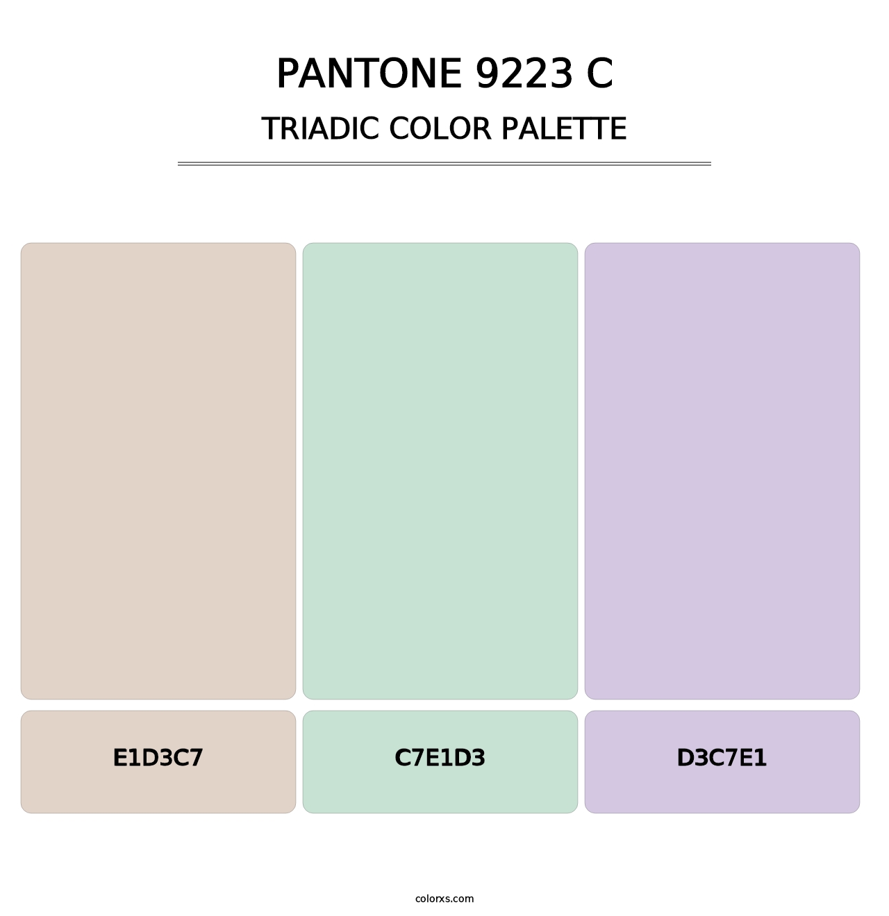 PANTONE 9223 C - Triadic Color Palette