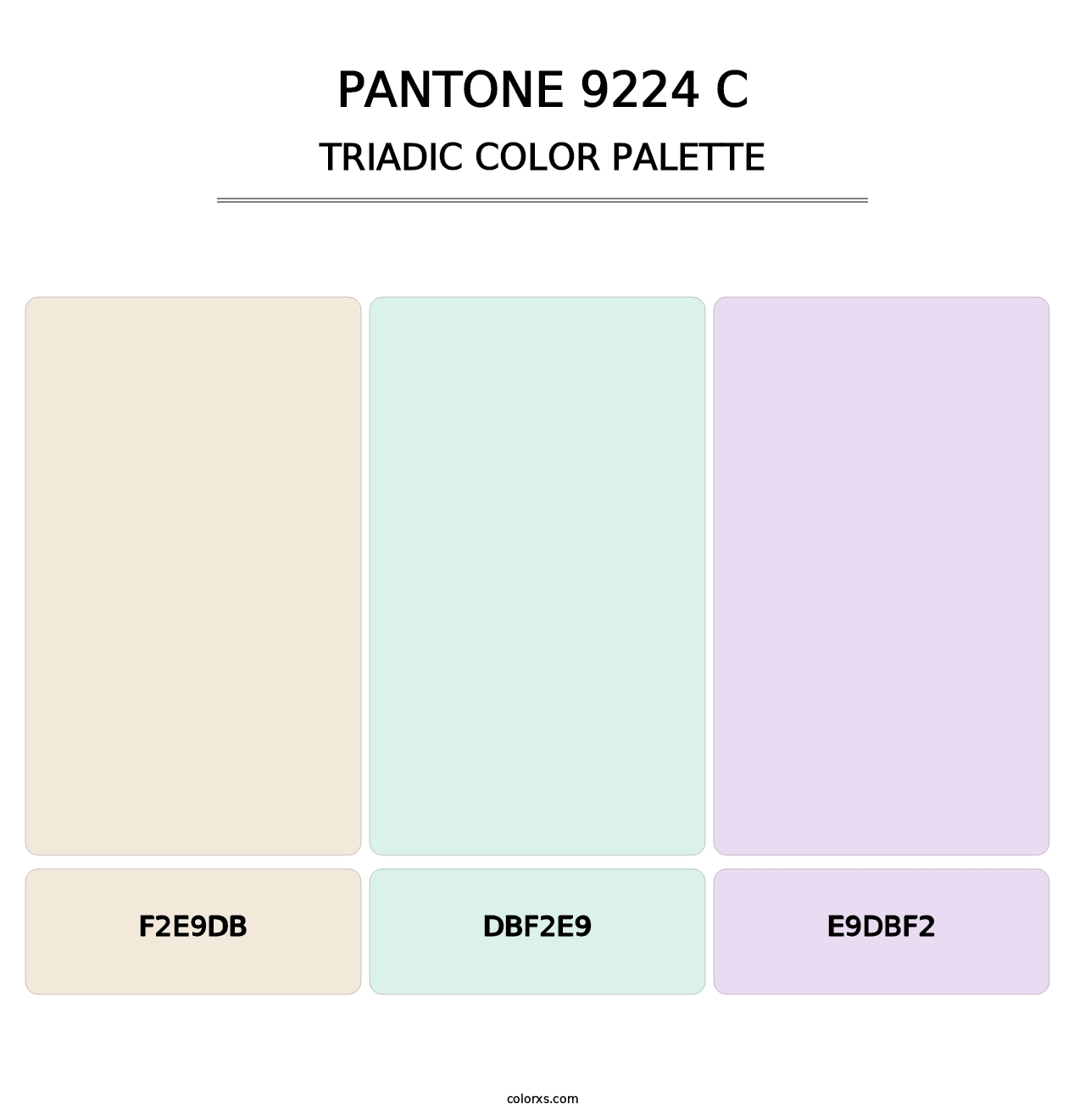 PANTONE 9224 C - Triadic Color Palette
