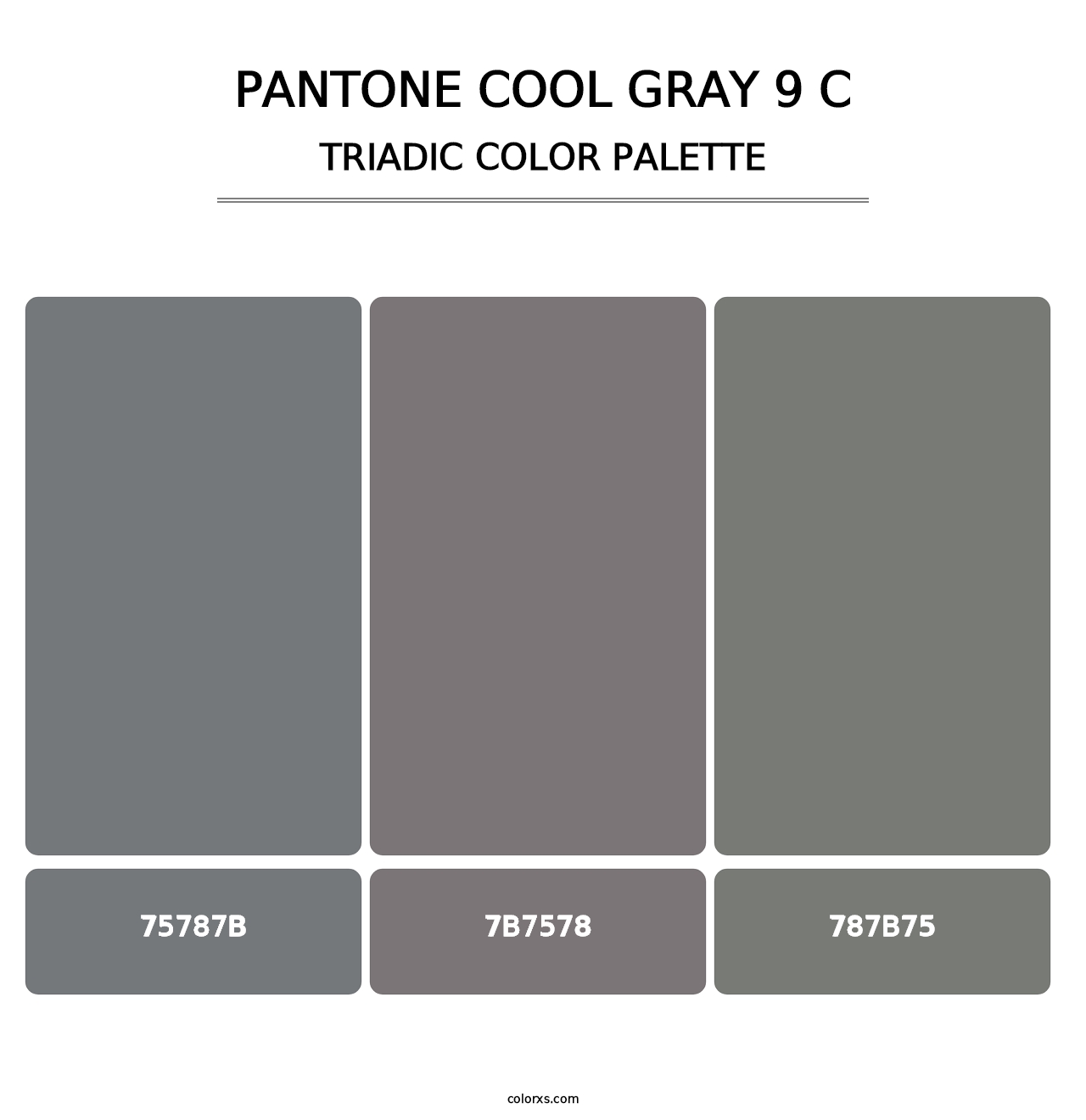 PANTONE Cool Gray 9 C - Triadic Color Palette